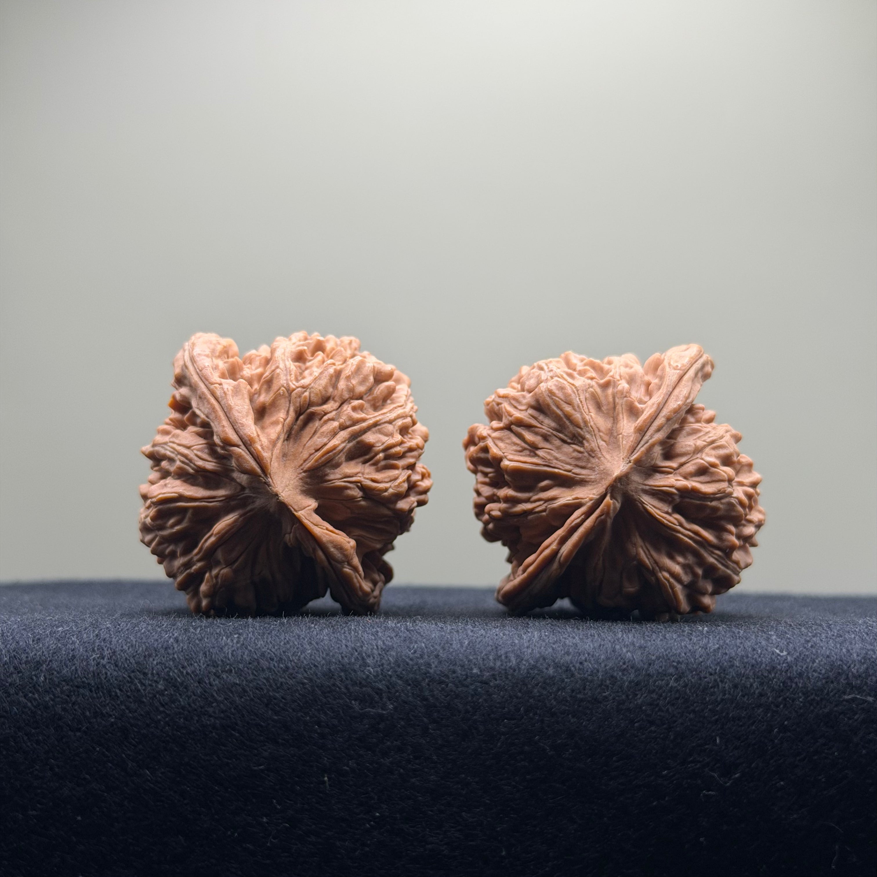 Four Towers Wenwan Walnut · 41mm · Natural · Select Ritual