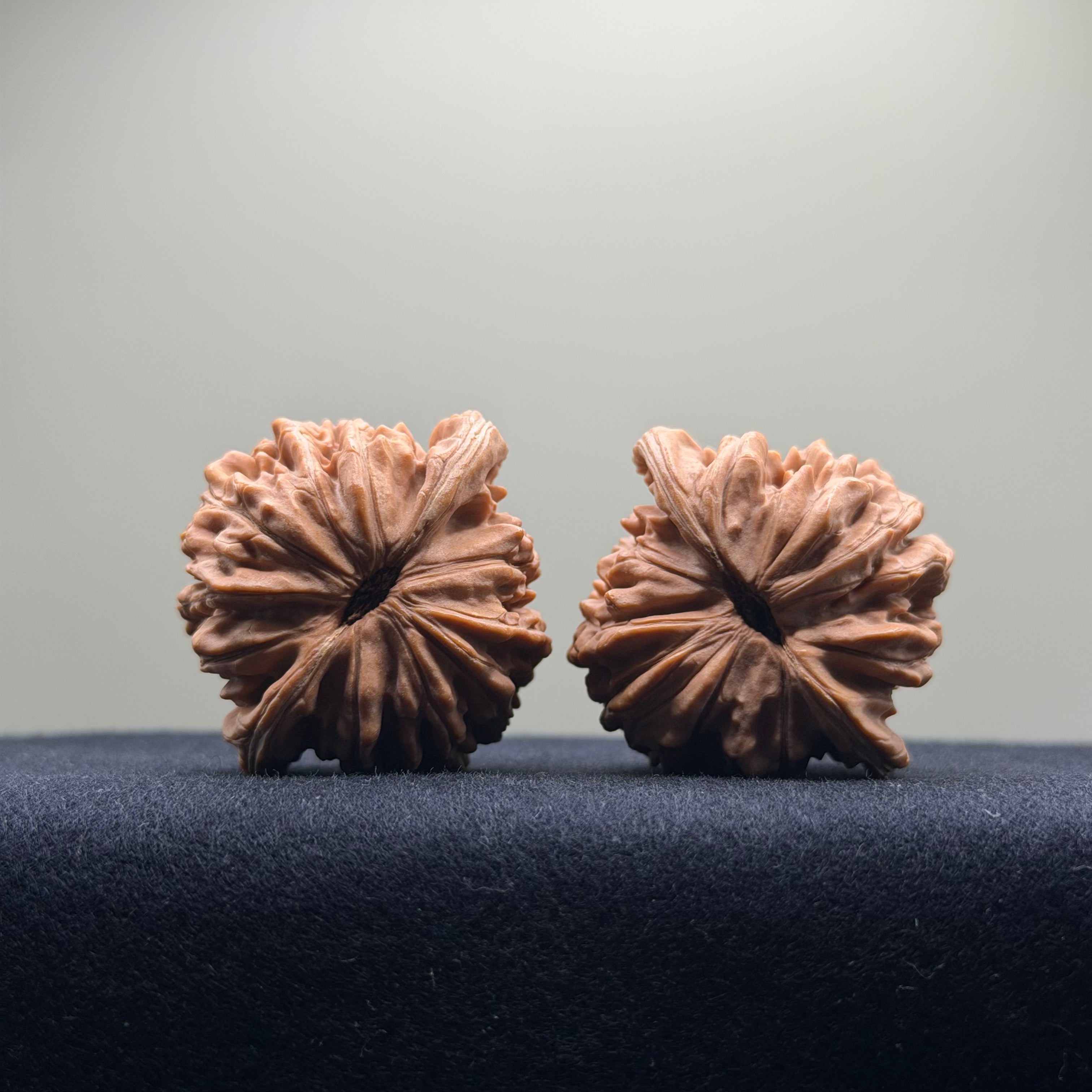 Four Towers Wenwan Walnut · 41mm · Natural · Select Ritual