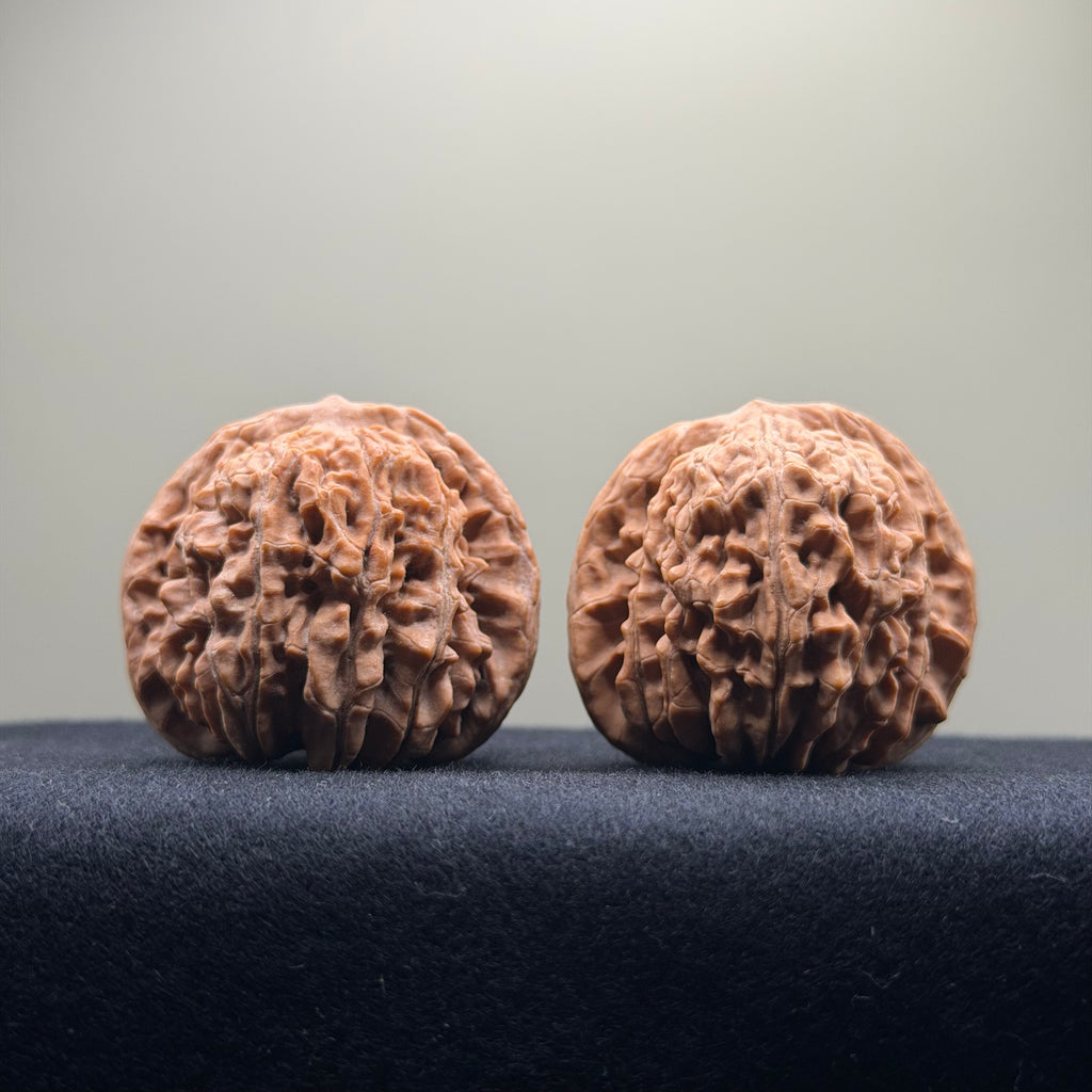 Four Towers Wenwan Walnut · 42mm · Natural · Select Ritual