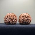 Four Towers Wenwan Walnut · 42mm · Natural · Select Ritual