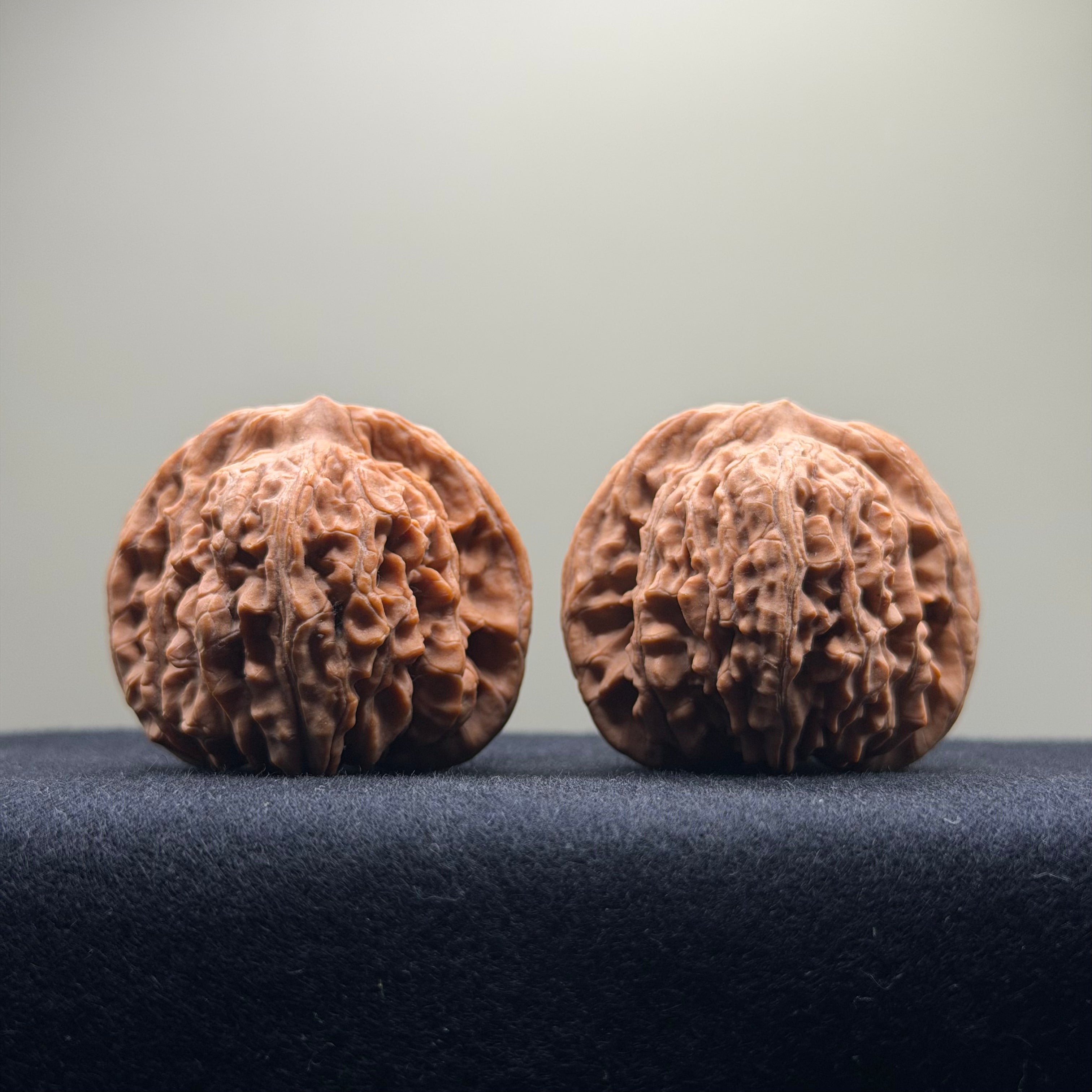 Four Towers Wenwan Walnut · 42mm · Natural · Select Ritual