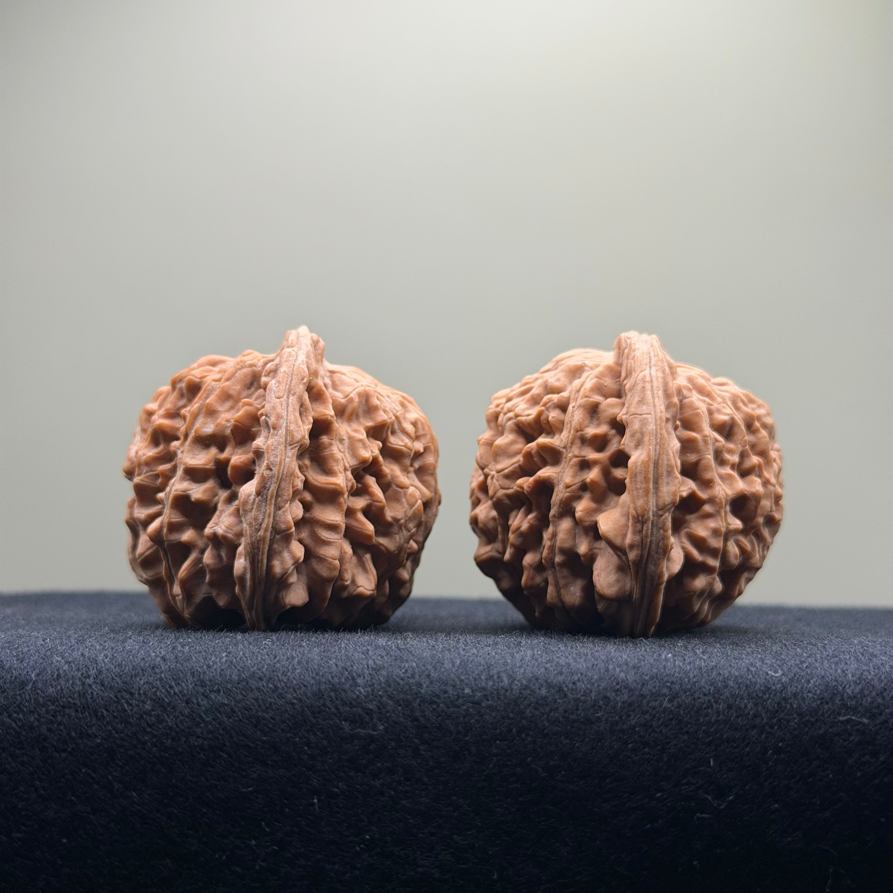 Four Towers Wenwan Walnut · 42mm · Natural · Select Ritual