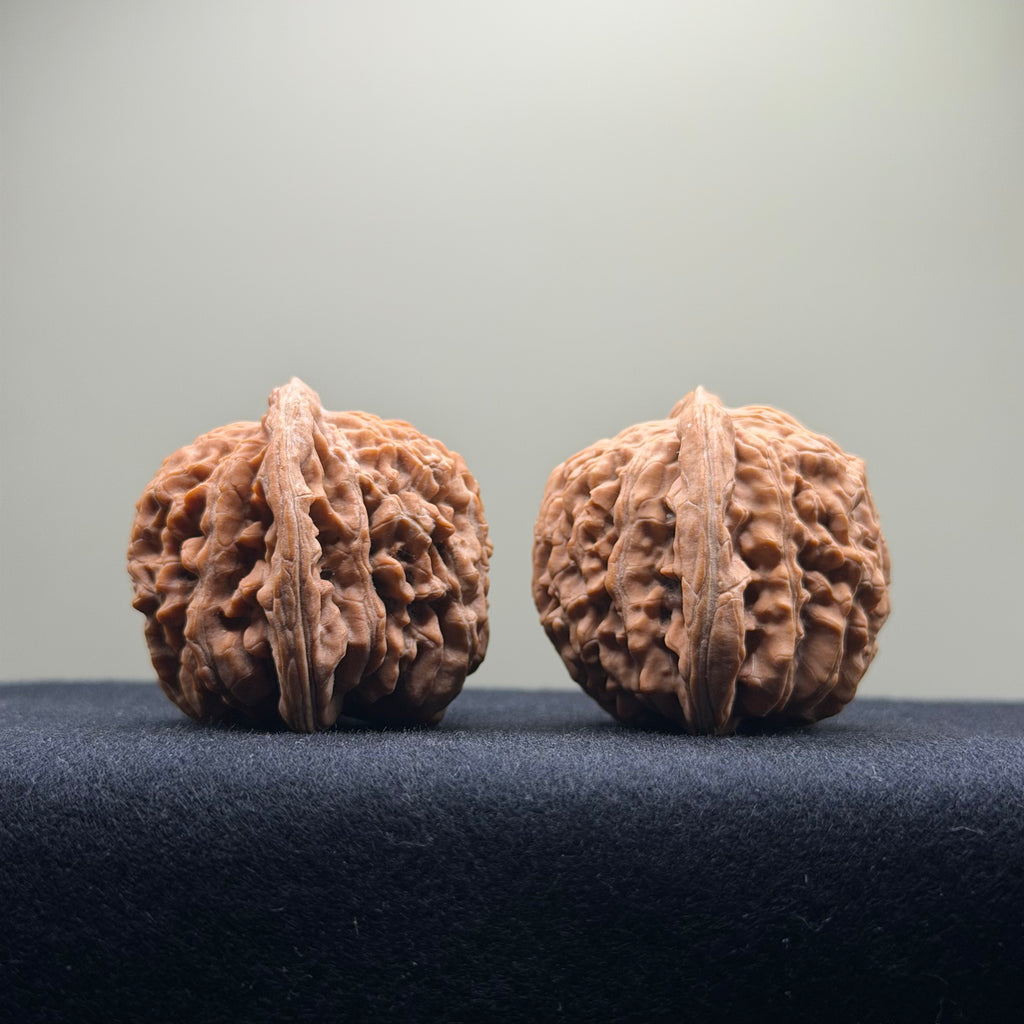 Four Towers Wenwan Walnut · 42mm · Natural · Select Ritual