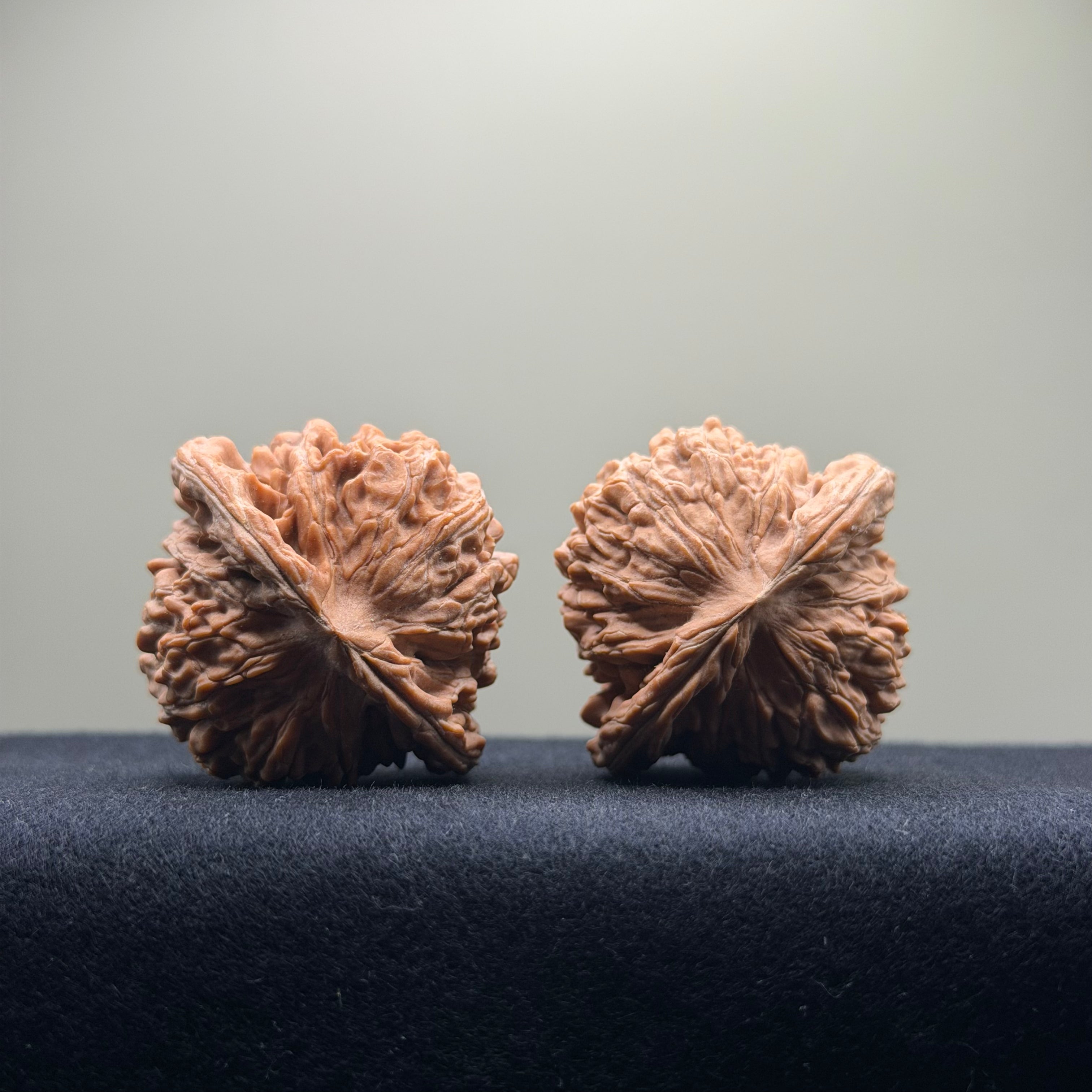 Four Towers Wenwan Walnut · 42mm · Natural · Select Ritual