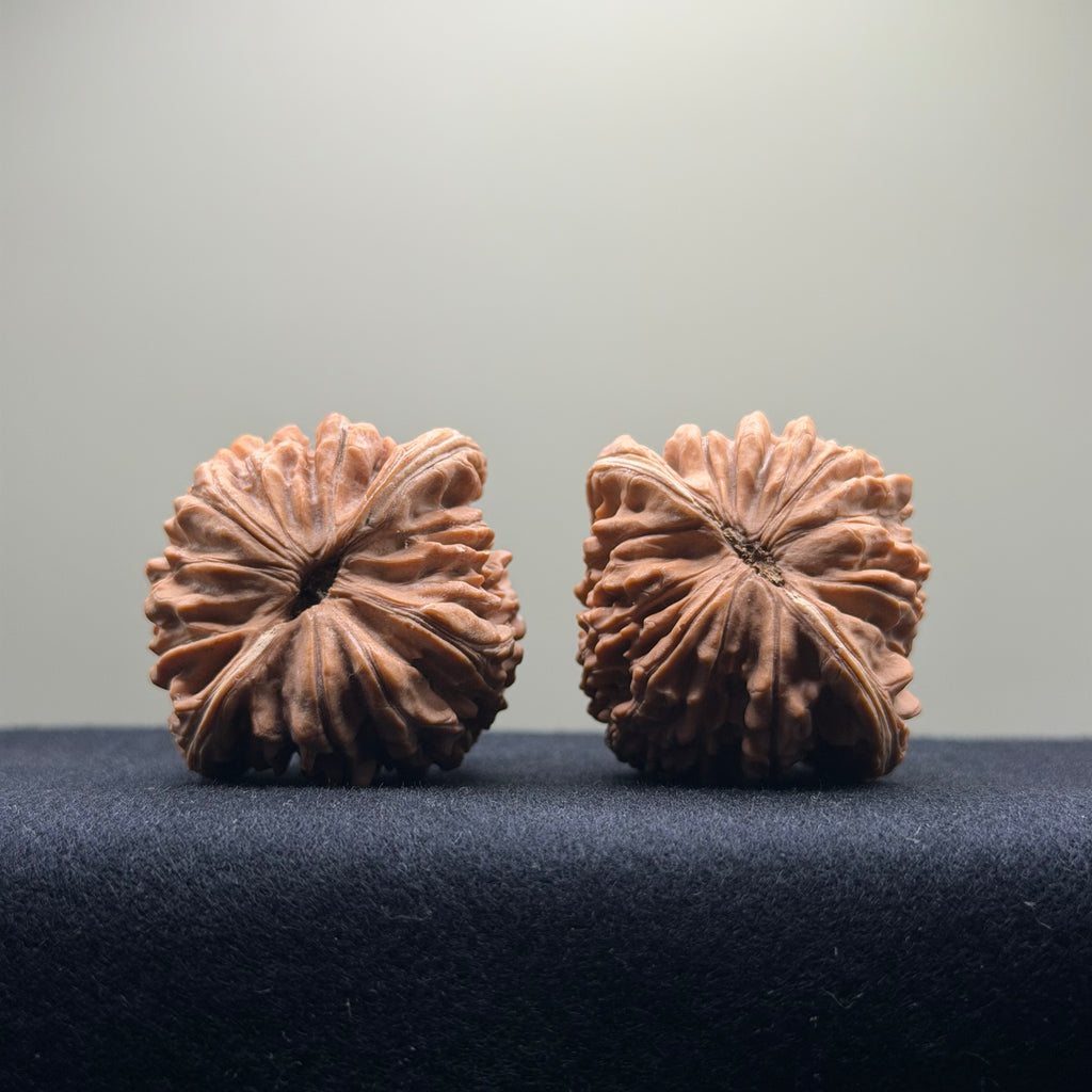 Four Towers Wenwan Walnut · 42mm · Natural · Select Ritual