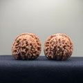 Four Towers Wenwan Walnut · 43mm · Natural · Select Ritual