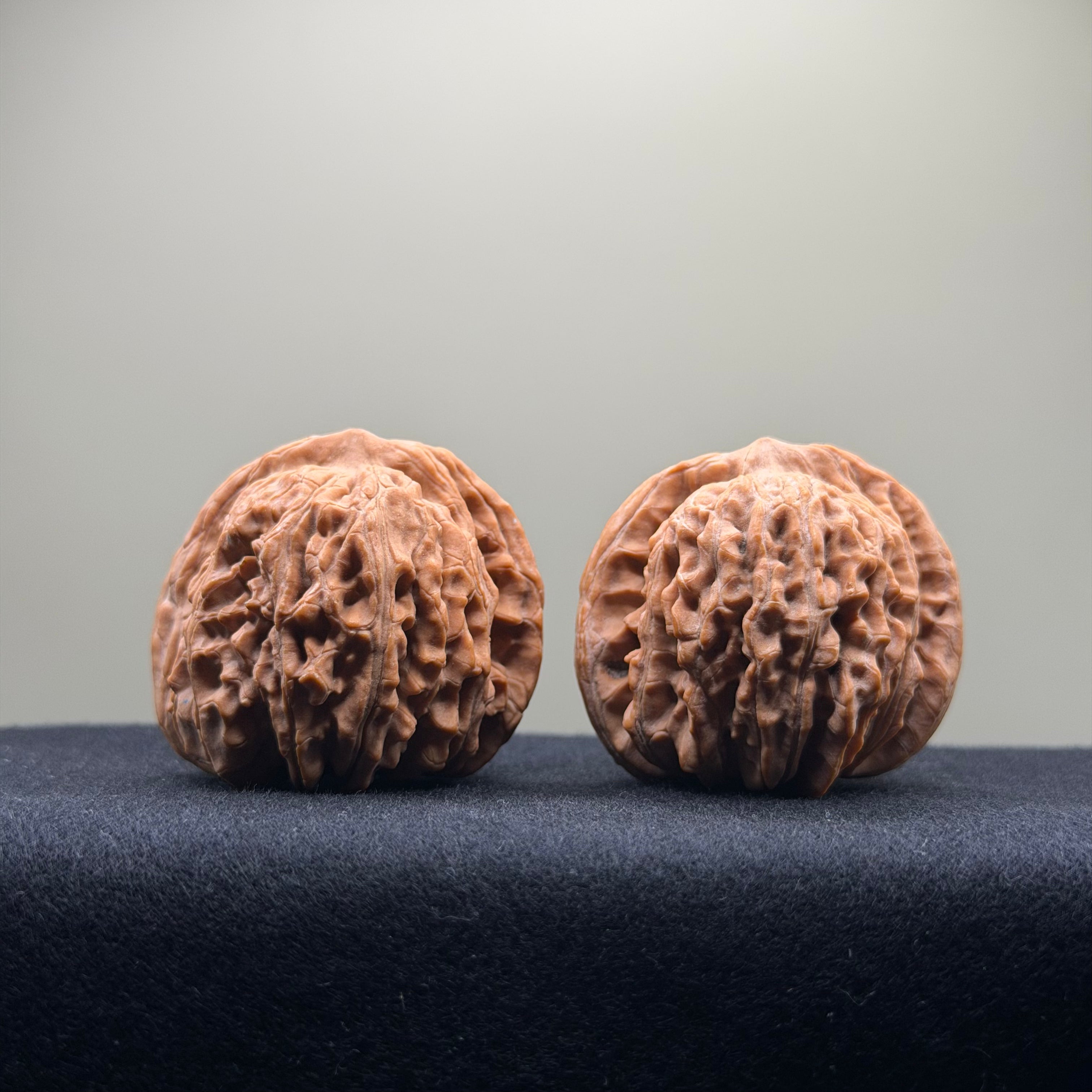 Four Towers Wenwan Walnut · 43mm · Natural · Select Ritual