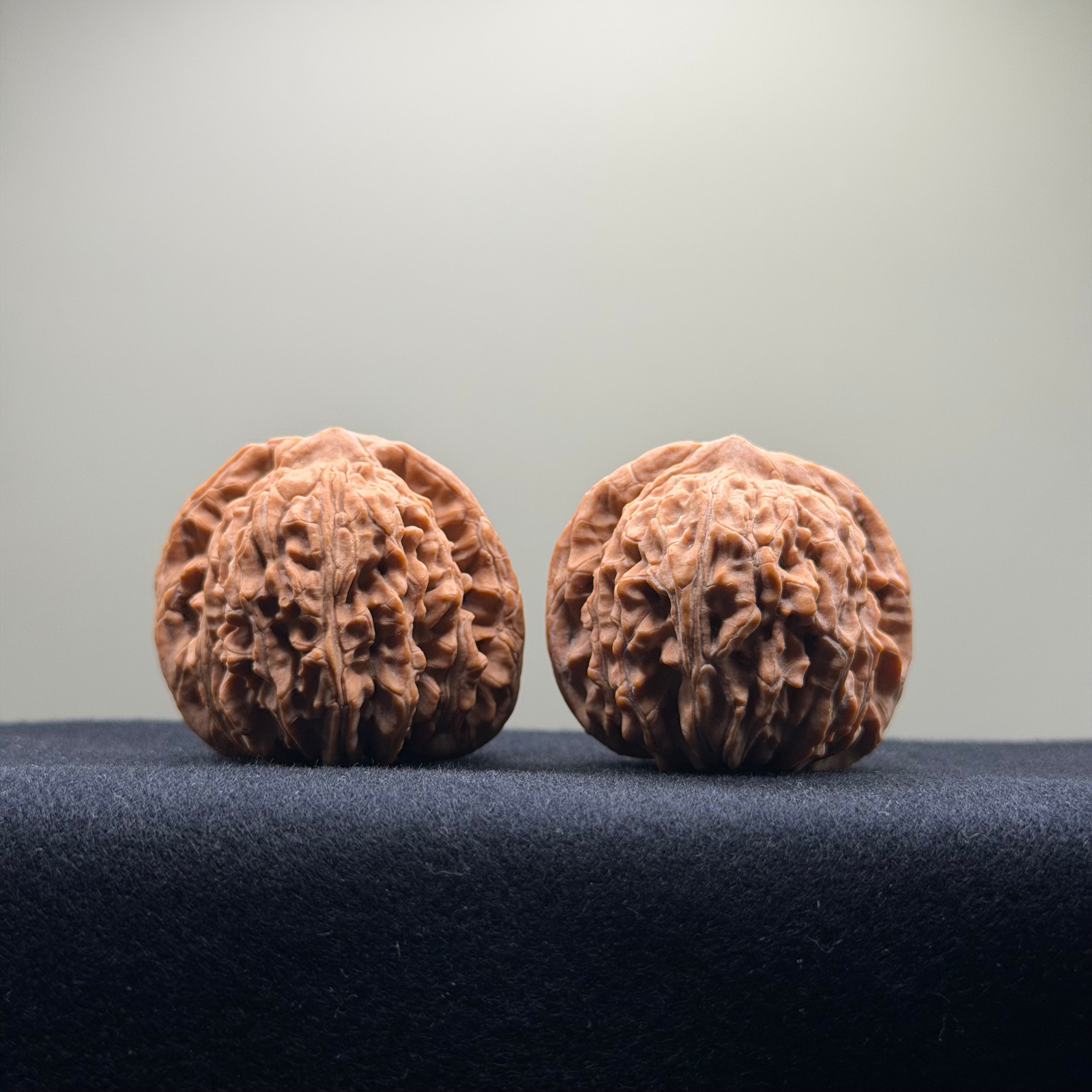 Four Towers Wenwan Walnut · 43mm · Natural · Select Ritual