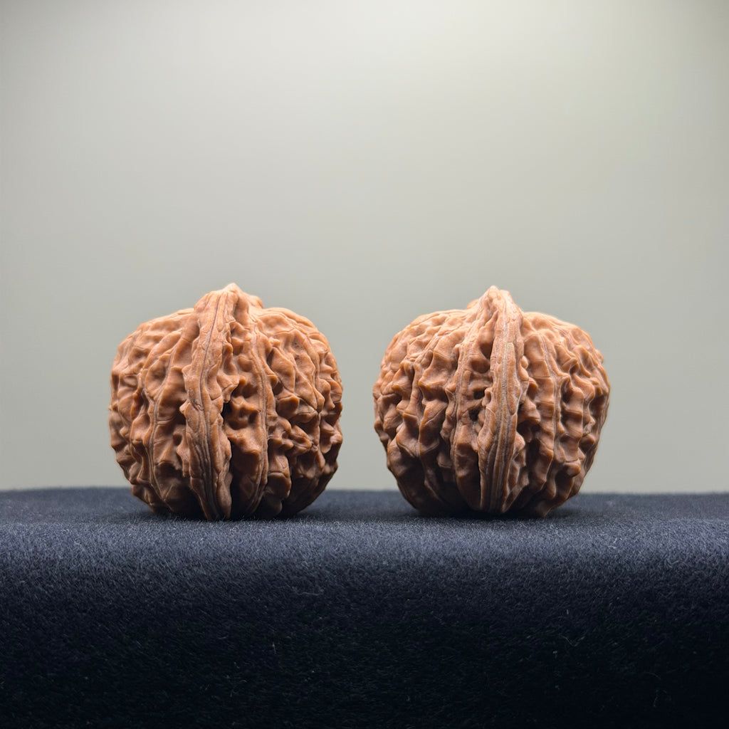 Four Towers Wenwan Walnut · 43mm · Natural · Select Ritual