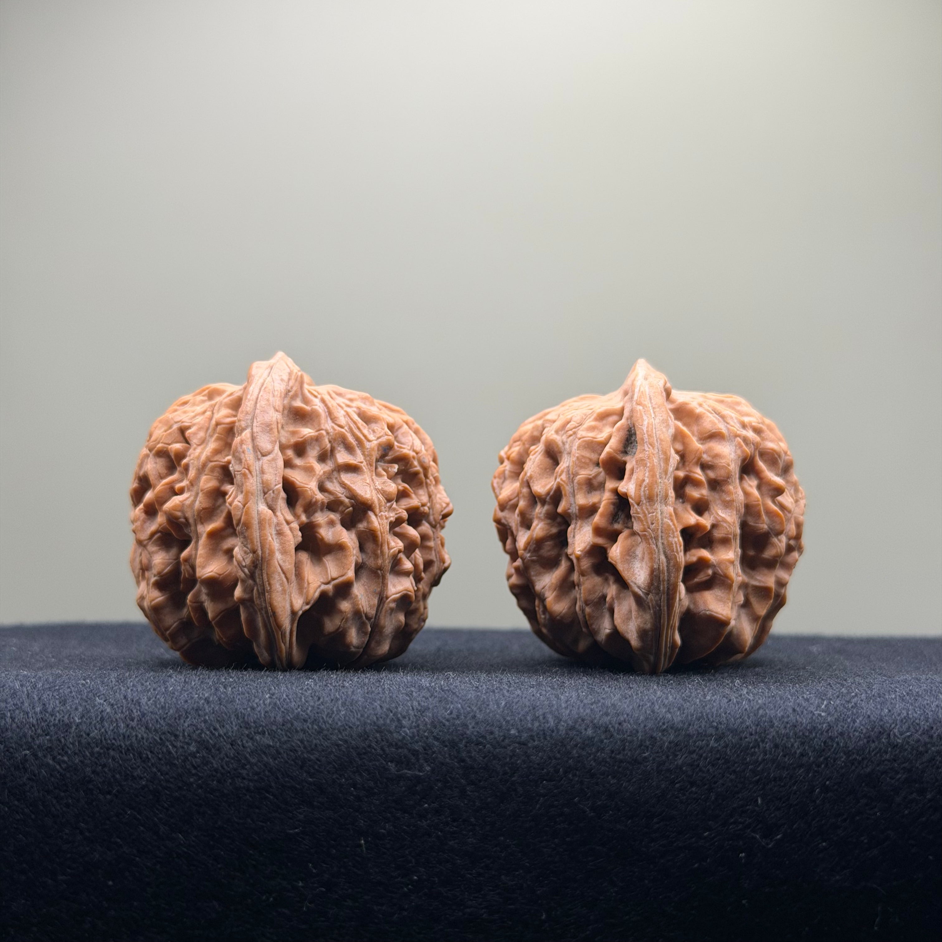 Four Towers Wenwan Walnut · 43mm · Natural · Select Ritual