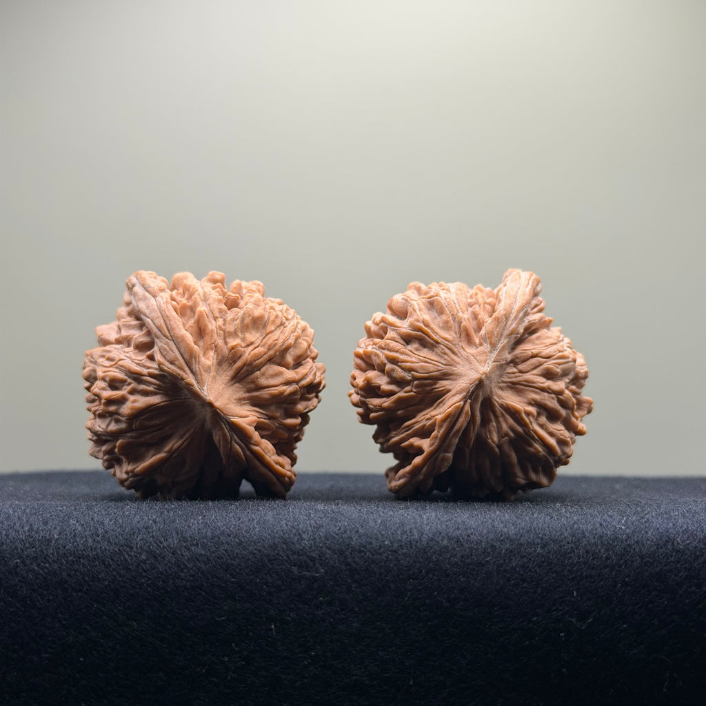 Four Towers Wenwan Walnut · 43mm · Natural · Select Ritual