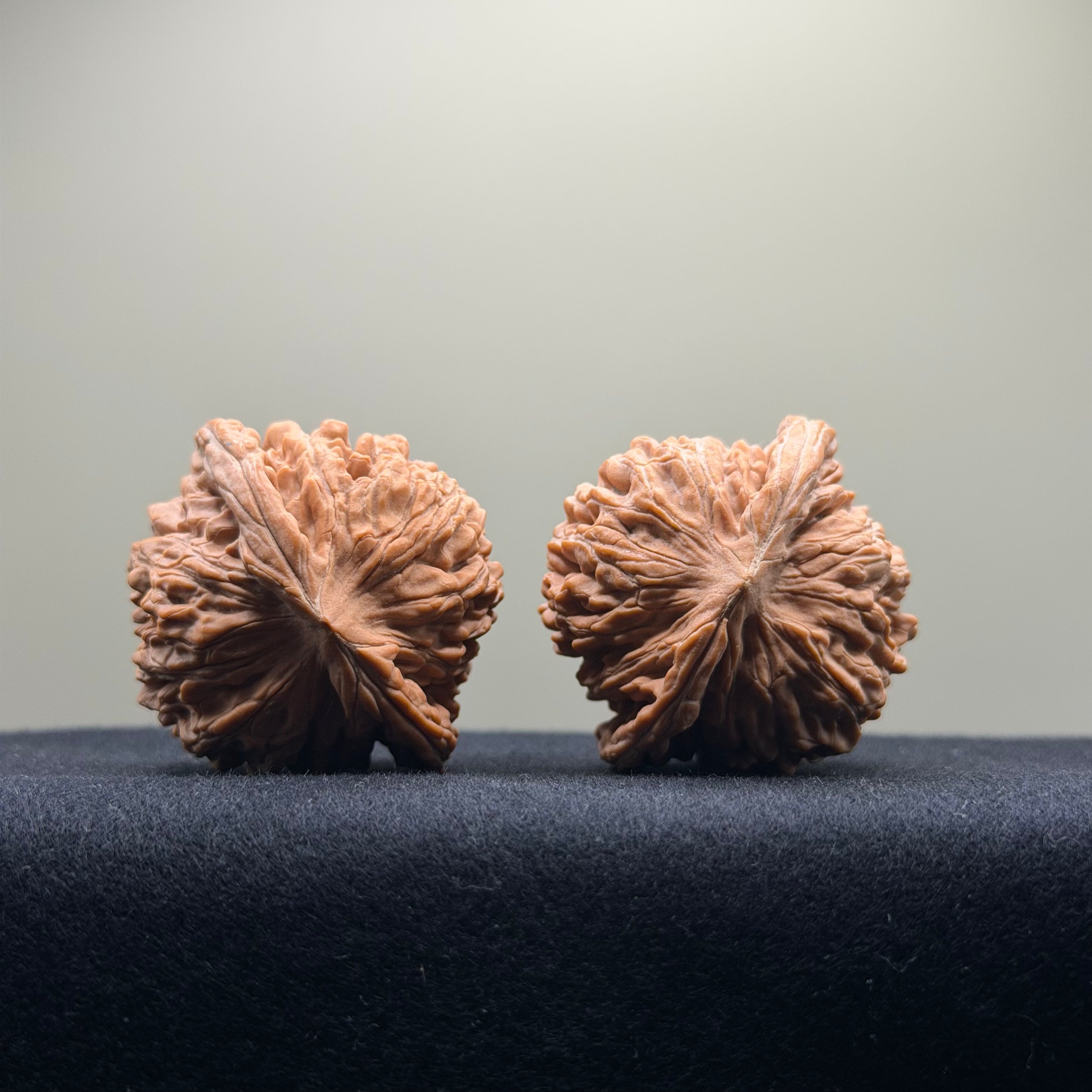 Four Towers Wenwan Walnut · 43mm · Natural · Select Ritual