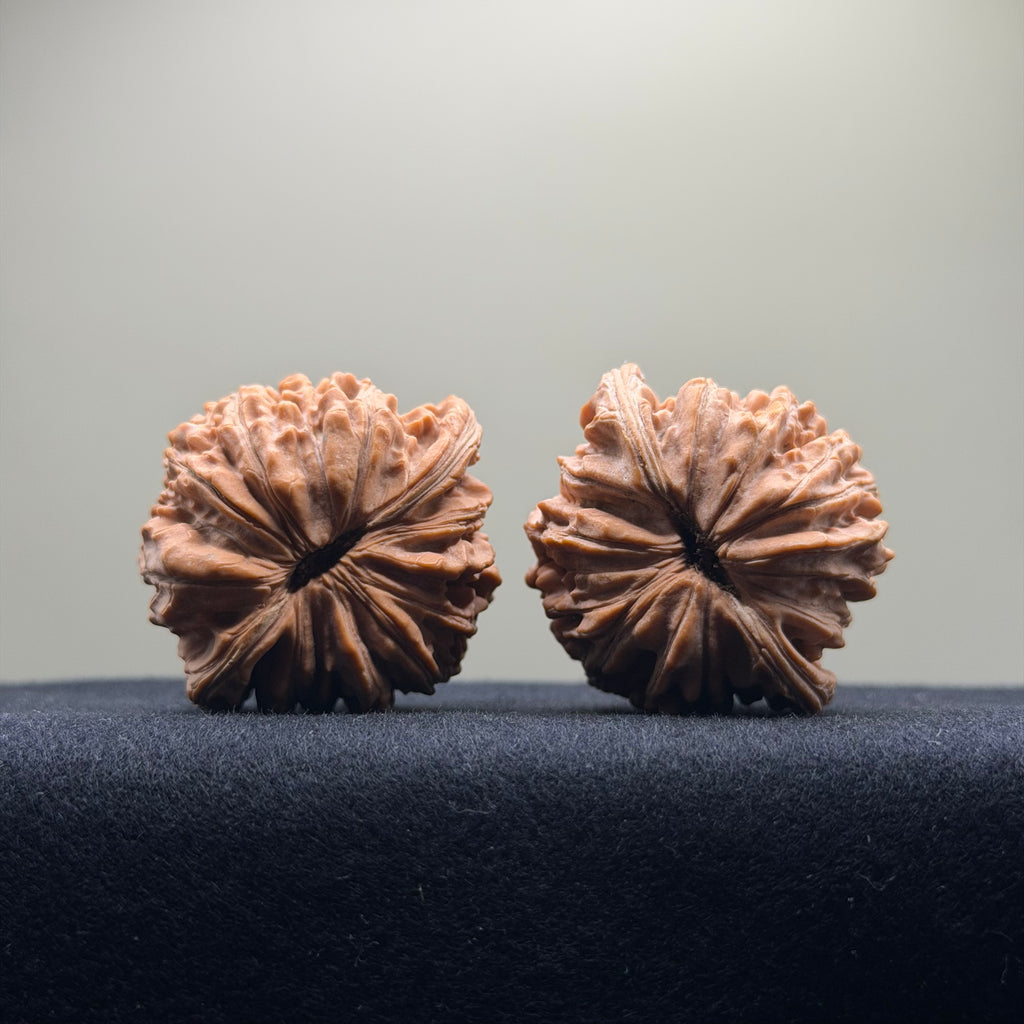 Four Towers Wenwan Walnut · 43mm · Natural · Select Ritual