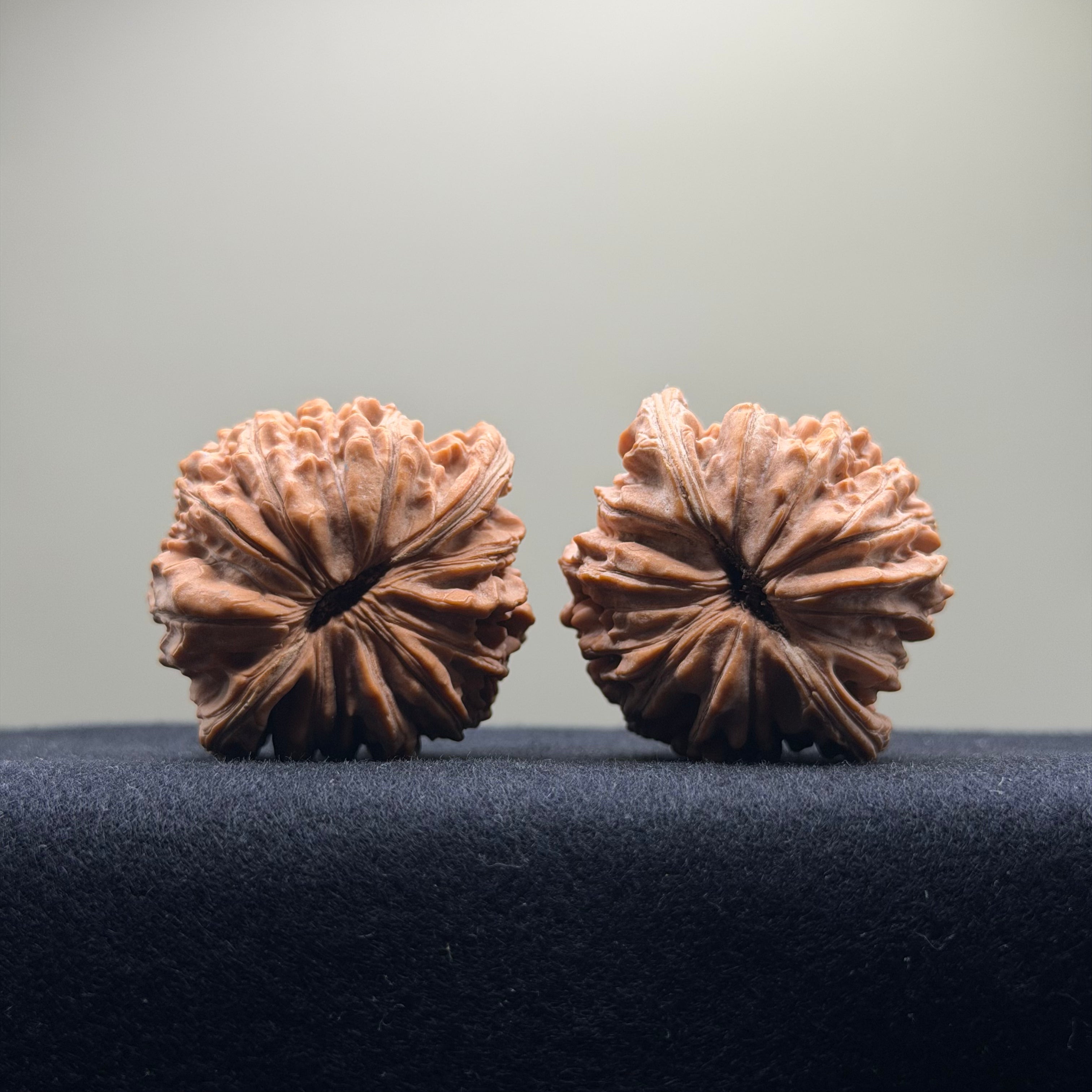 Four Towers Wenwan Walnut · 43mm · Natural · Select Ritual