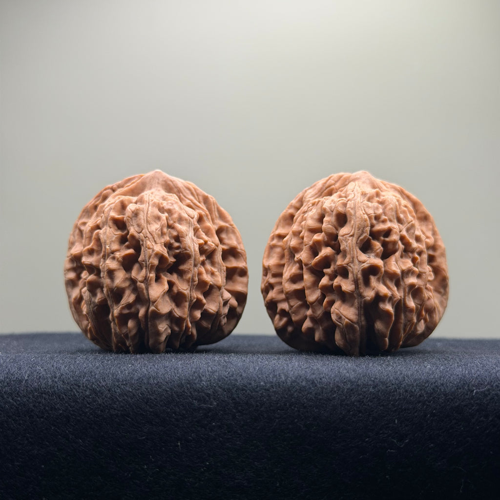Four Towers Wenwan Walnut · 42mm · Natural · Select Ritual