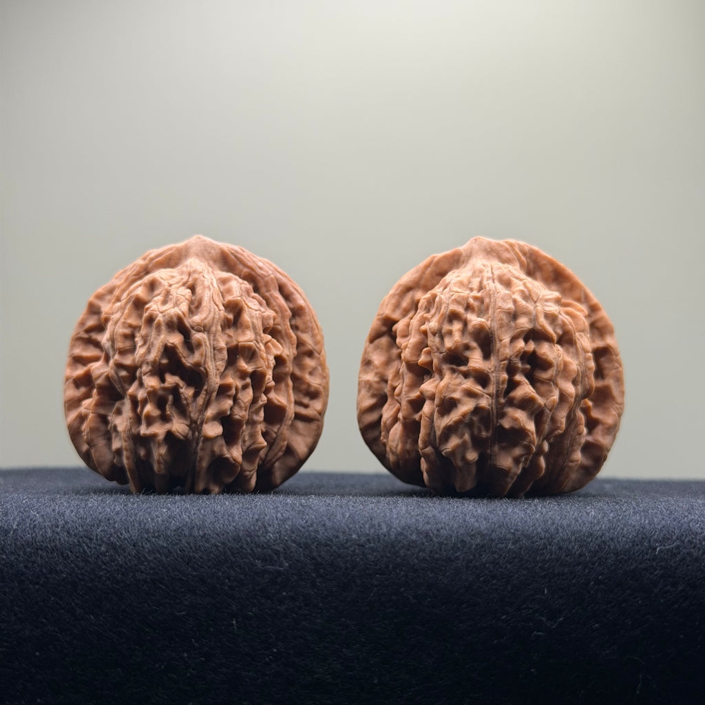 Four Towers Wenwan Walnut · 42mm · Natural · Select Ritual