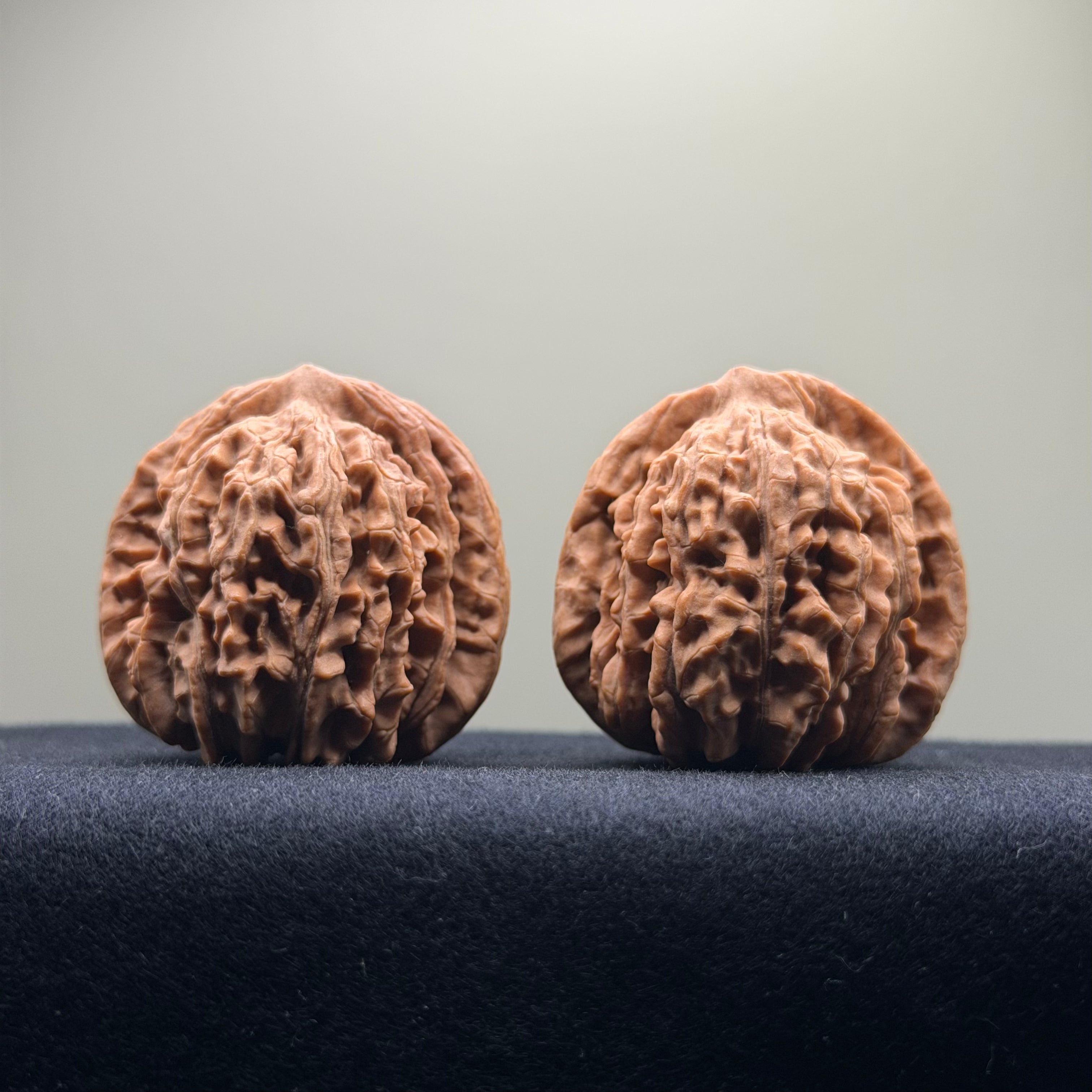 Four Towers Wenwan Walnut · 42mm · Natural · Select Ritual