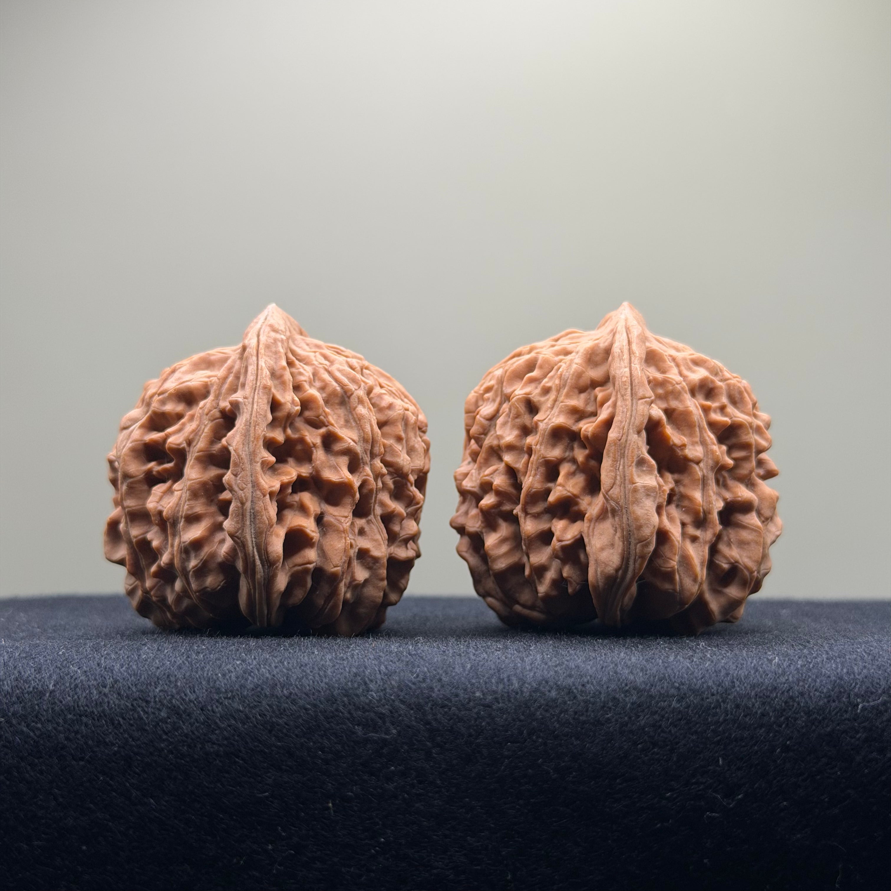 Four Towers Wenwan Walnut · 42mm · Natural · Select Ritual