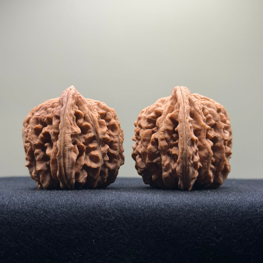 Four Towers Wenwan Walnut · 42mm · Natural · Select Ritual