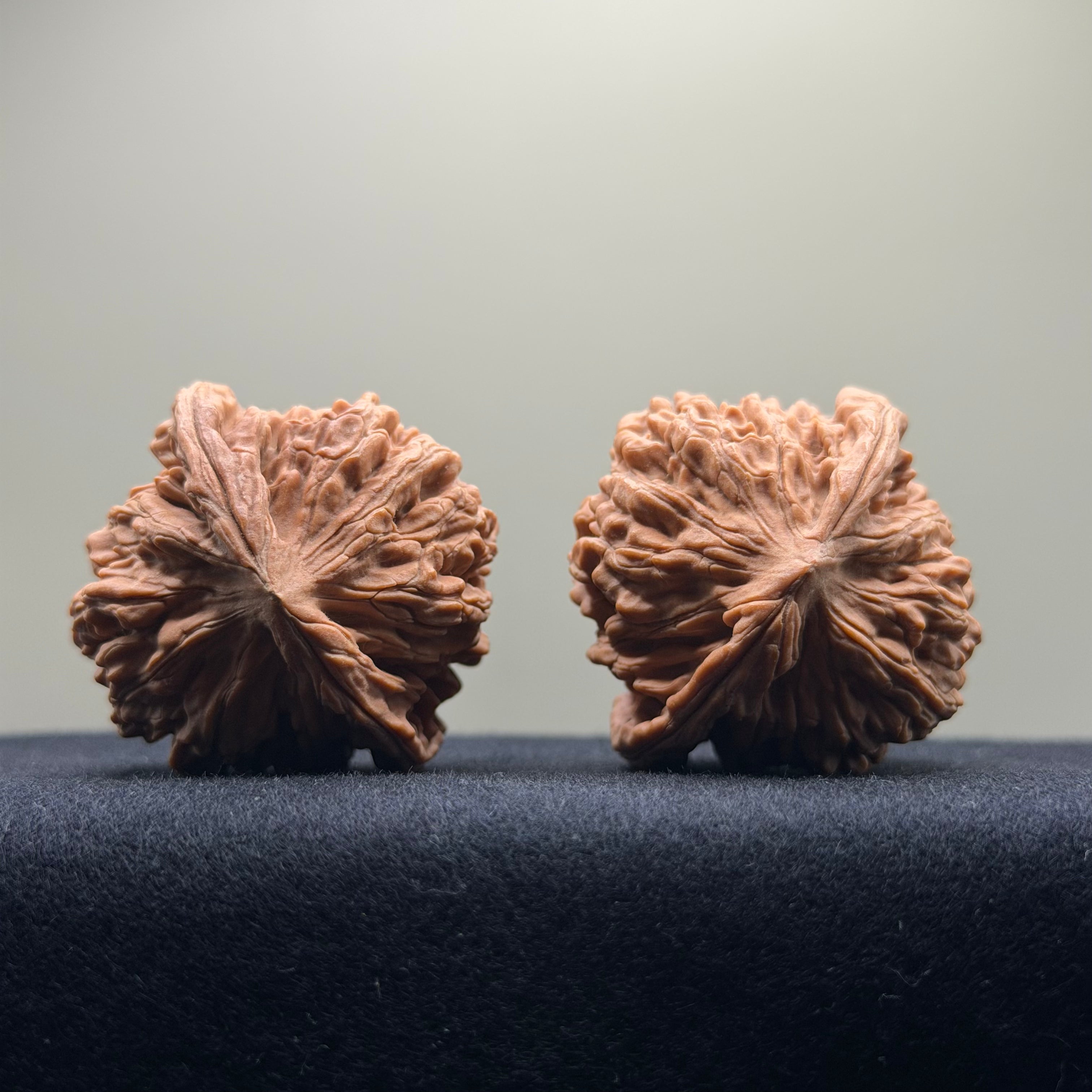 Four Towers Wenwan Walnut · 42mm · Natural · Select Ritual
