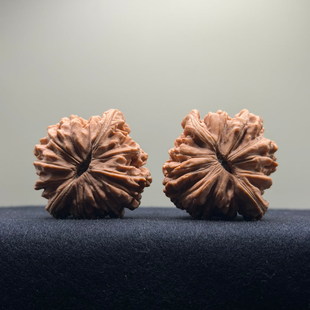 Four Towers Wenwan Walnut · 42mm · Natural · Select Ritual