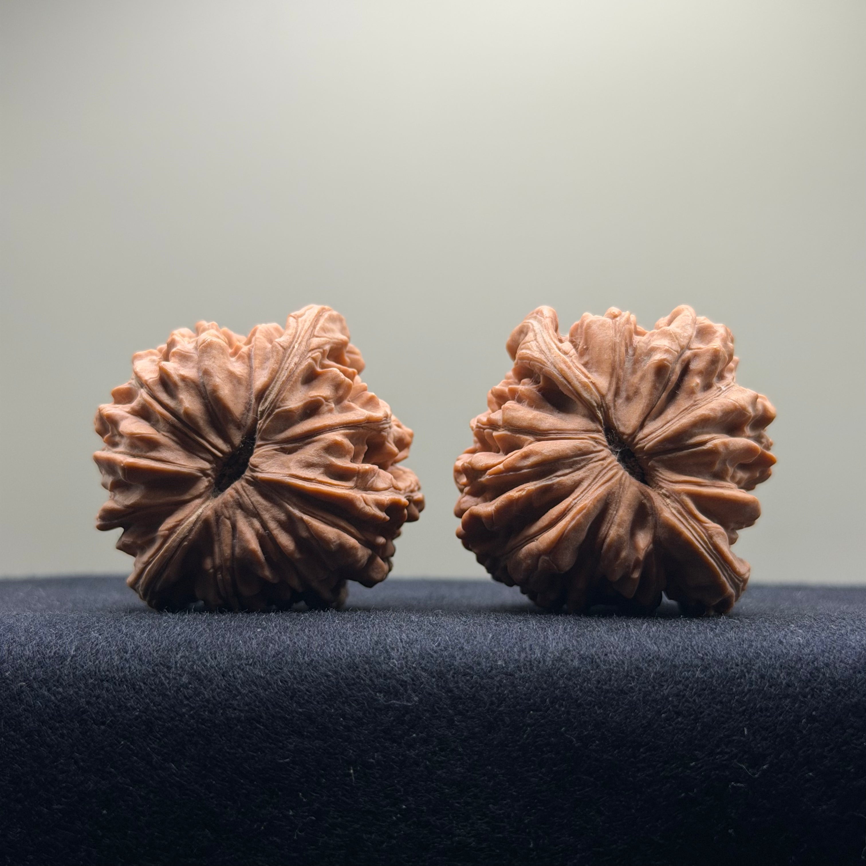 Four Towers Wenwan Walnut · 42mm · Natural · Select Ritual