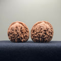 Four Towers Wenwan Walnut · 40mm · Natural · Select Ritual