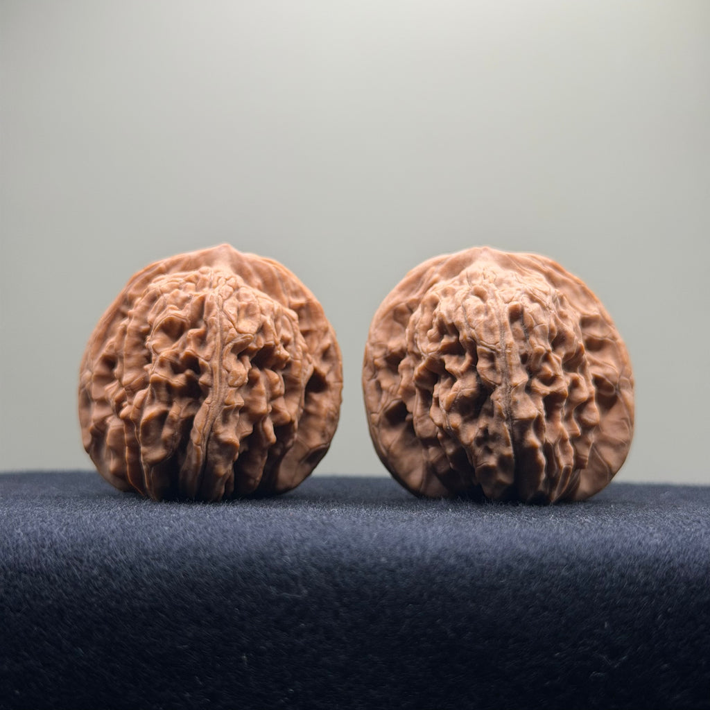 Four Towers Wenwan Walnut · 40mm · Natural · Select Ritual