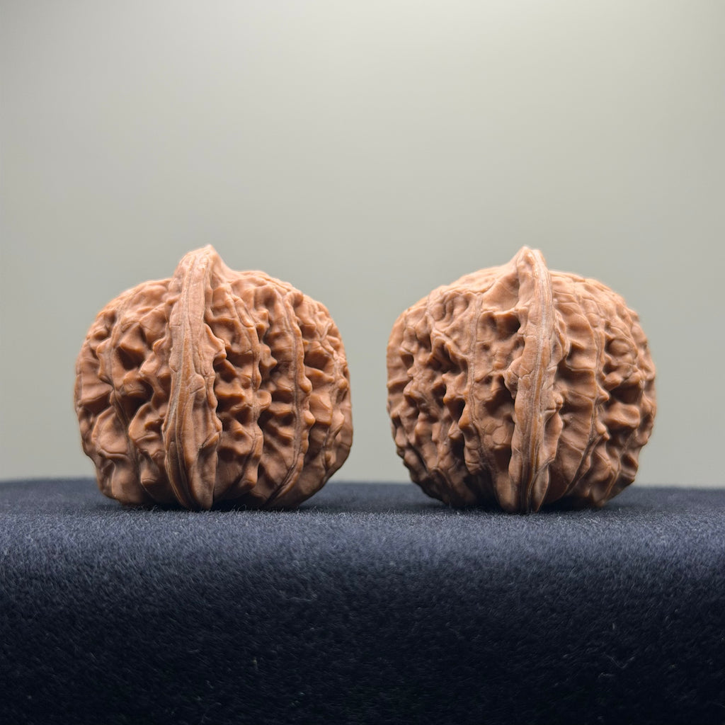 Four Towers Wenwan Walnut · 40mm · Natural · Select Ritual