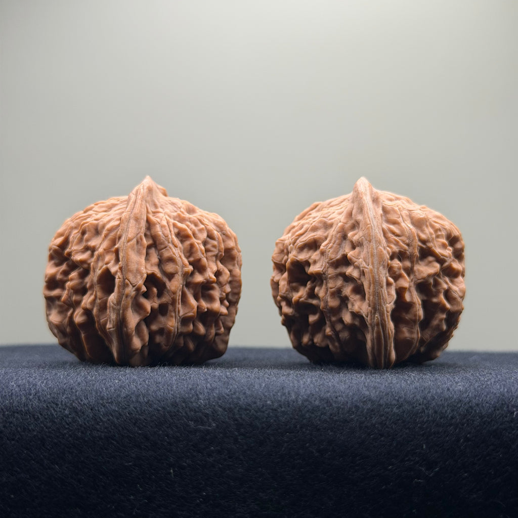 Four Towers Wenwan Walnut · 40mm · Natural · Select Ritual