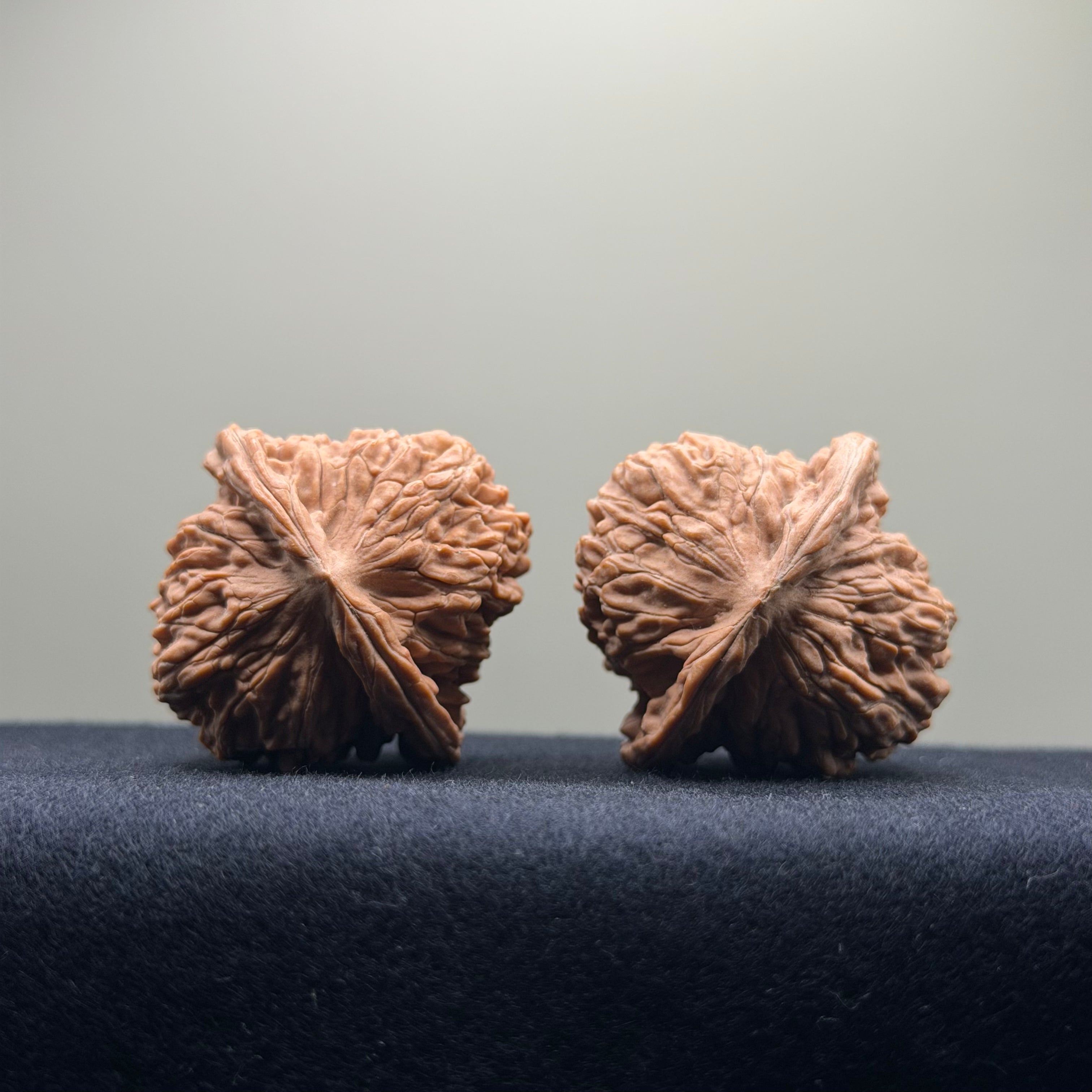Four Towers Wenwan Walnut · 40mm · Natural · Select Ritual