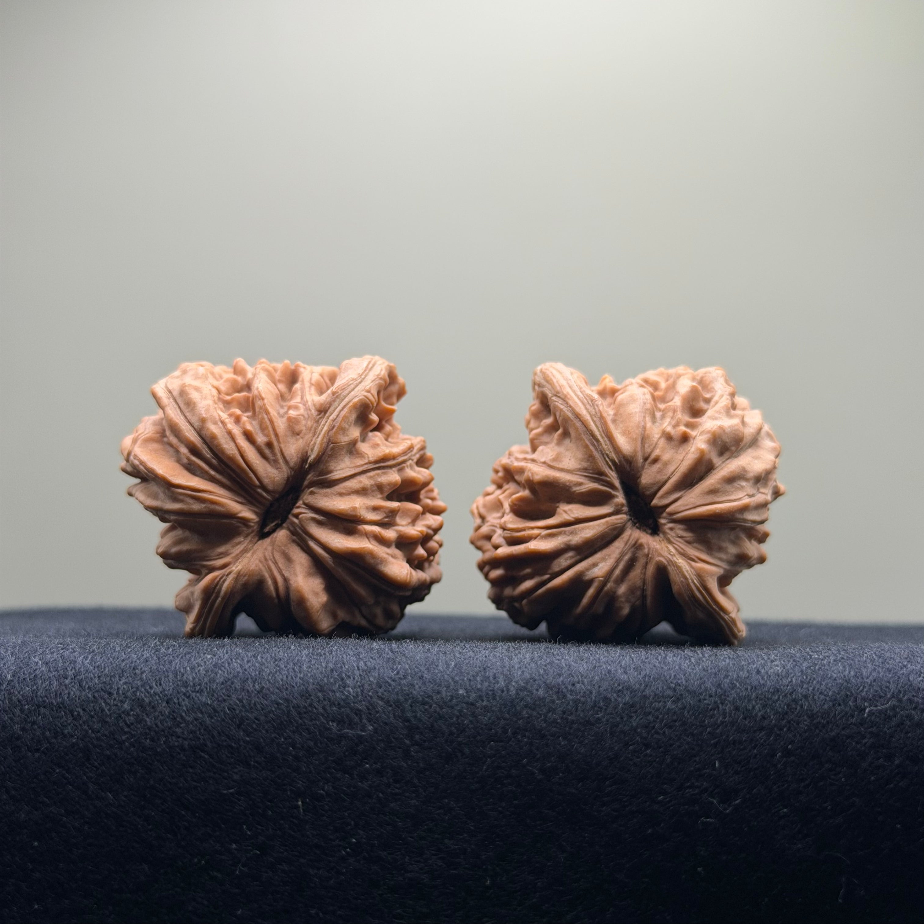 Four Towers Wenwan Walnut · 40mm · Natural · Select Ritual