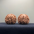 Four Towers Wenwan Walnut · 39mm · Natural · Select Ritual