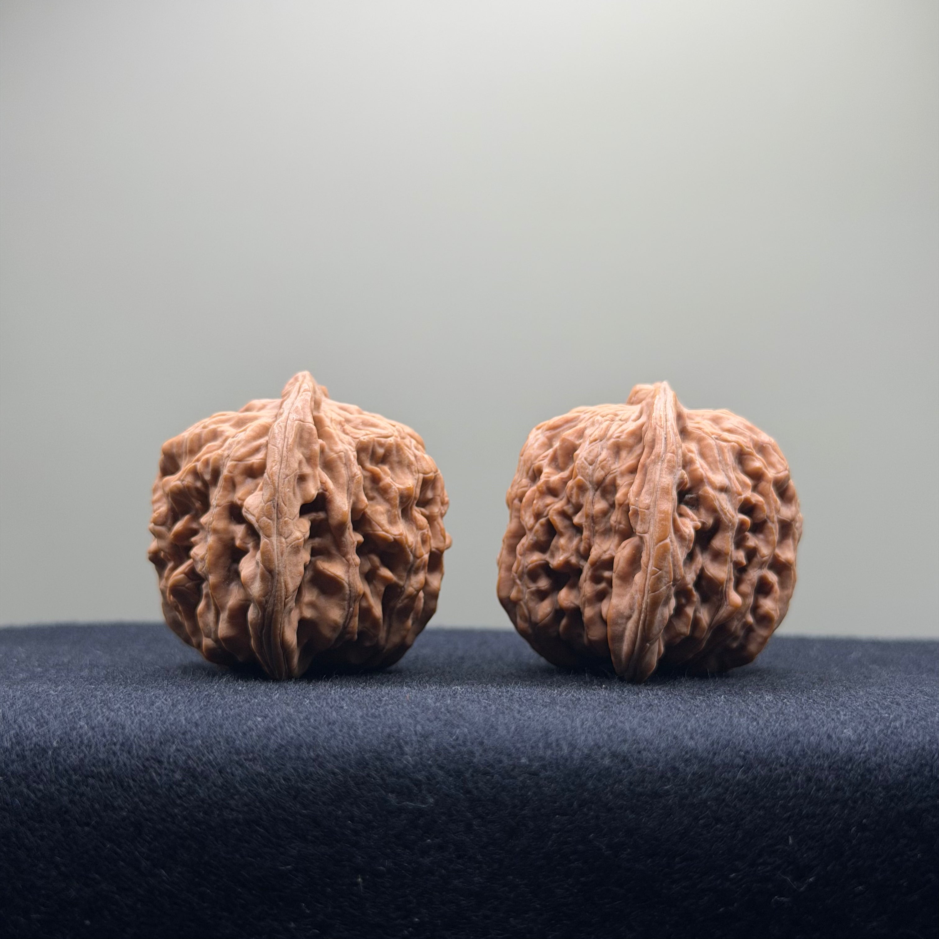 Four Towers Wenwan Walnut · 39mm · Natural · Select Ritual