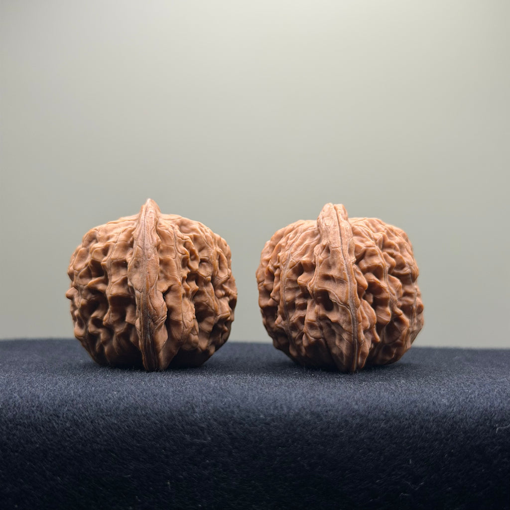 Four Towers Wenwan Walnut · 39mm · Natural · Select Ritual