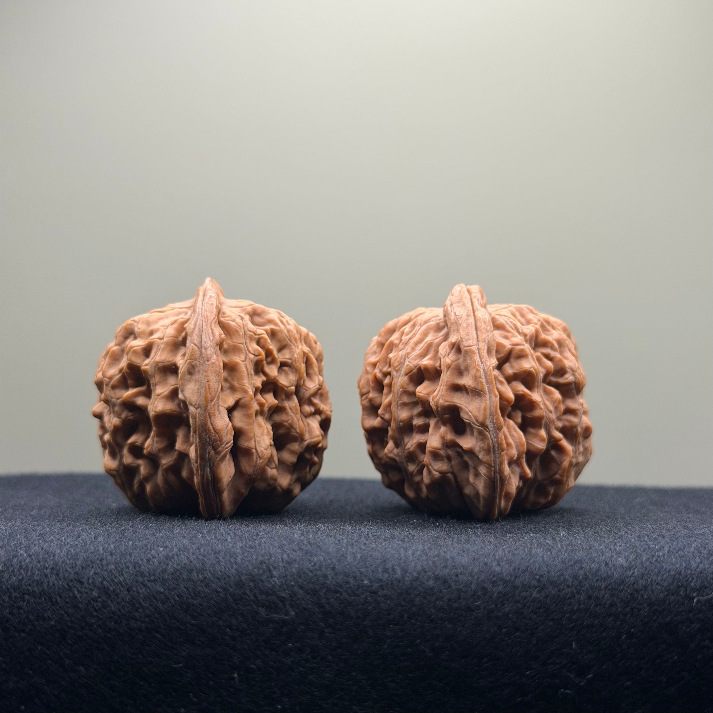 Four Towers Wenwan Walnut · 39mm · Natural · Select Ritual