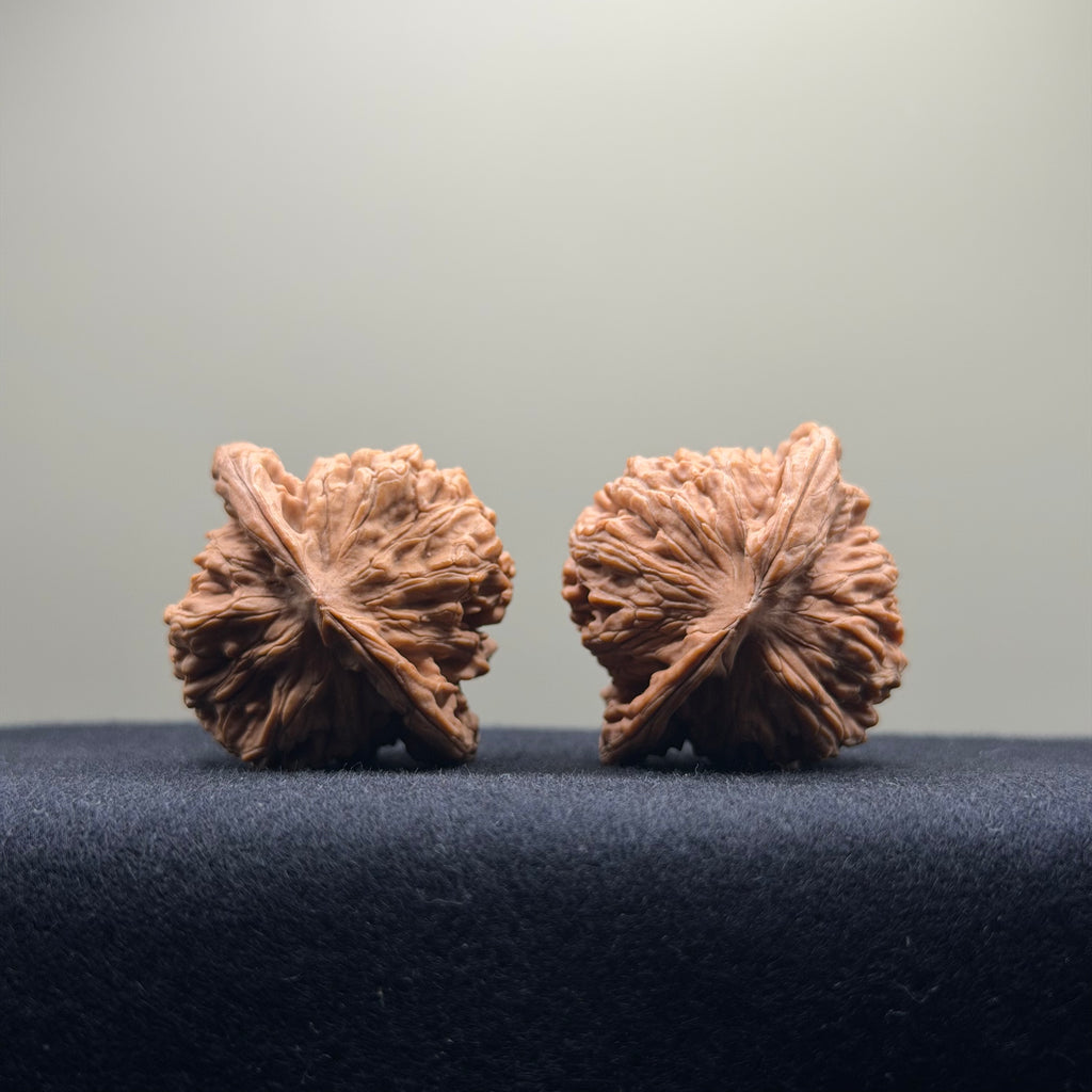 Four Towers Wenwan Walnut · 39mm · Natural · Select Ritual
