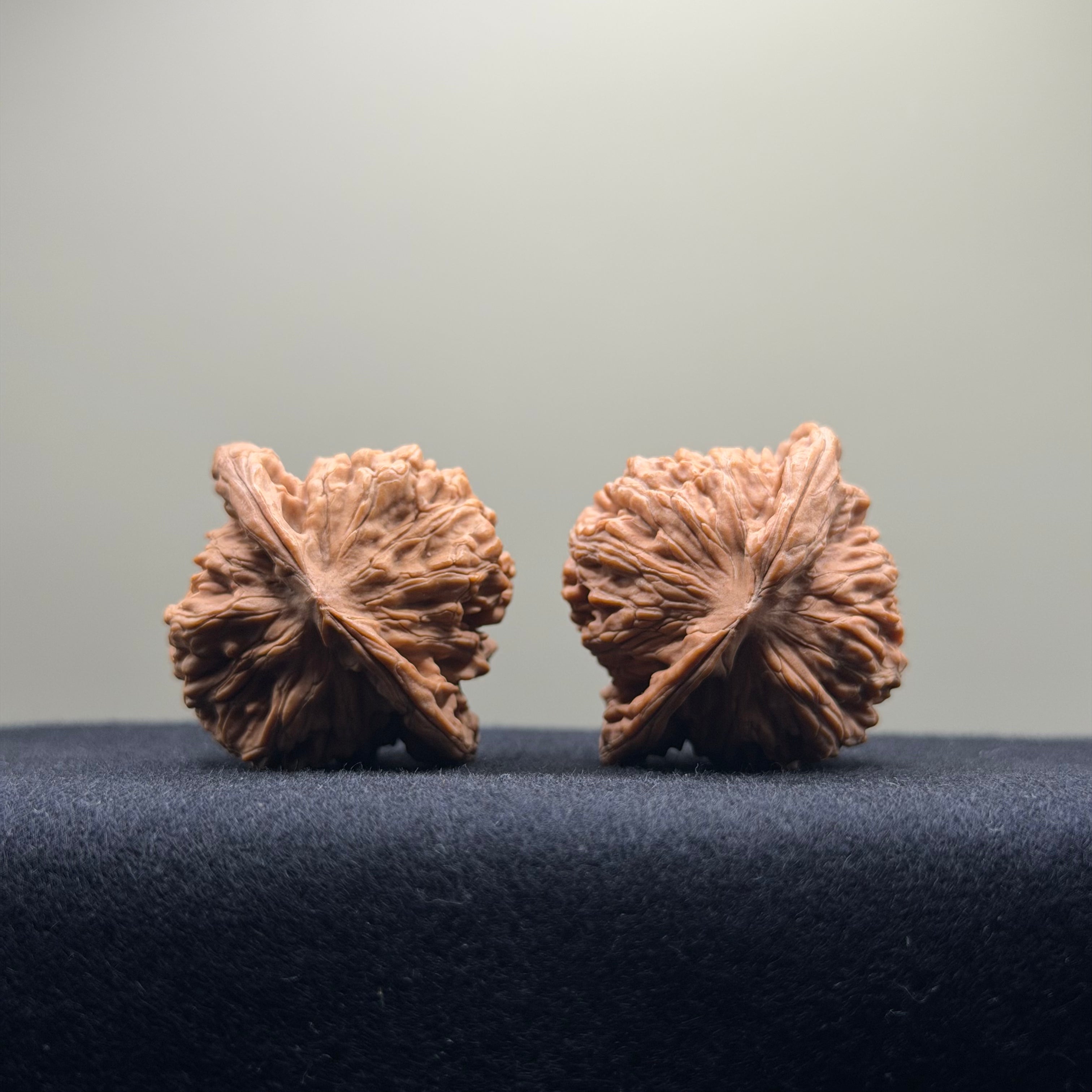 Four Towers Wenwan Walnut · 39mm · Natural · Select Ritual