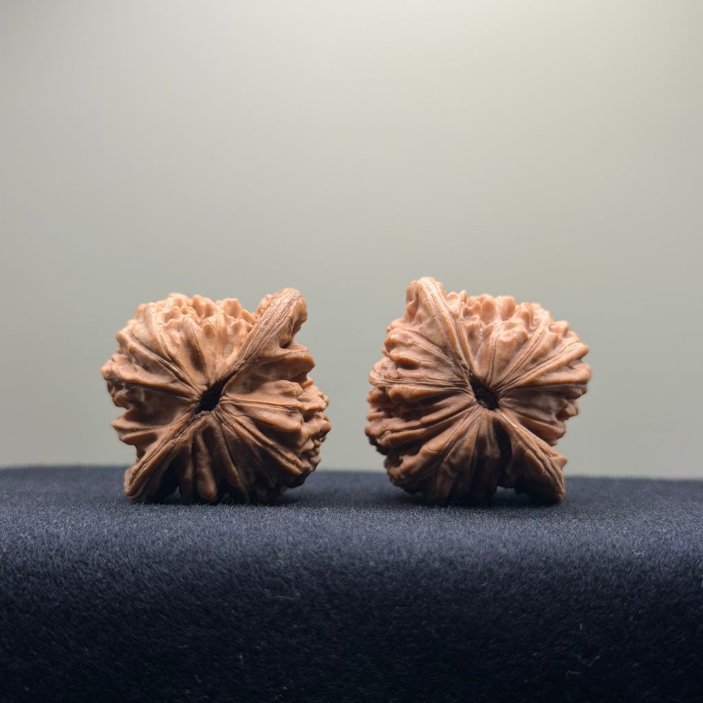 Four Towers Wenwan Walnut · 39mm · Natural · Select Ritual