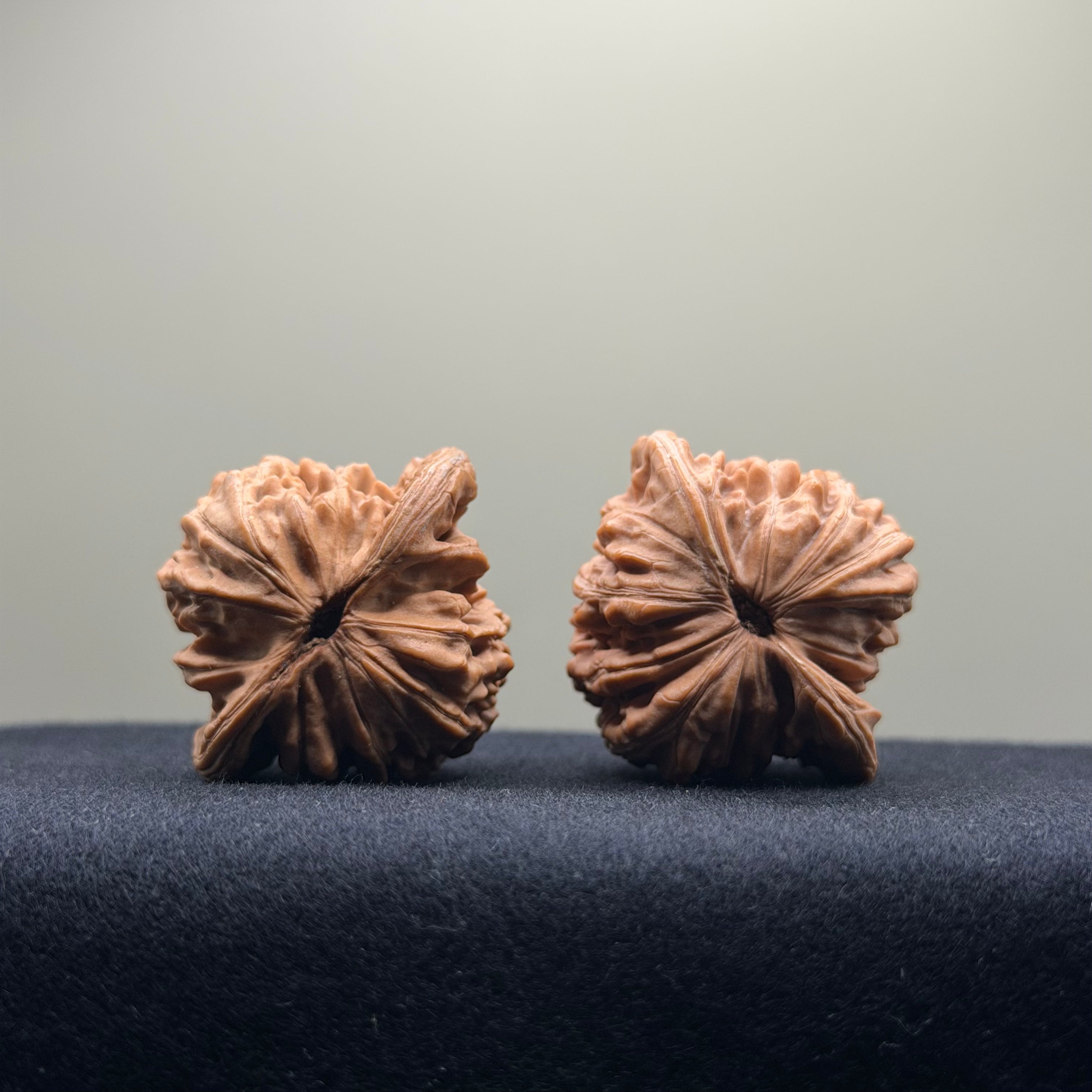Four Towers Wenwan Walnut · 39mm · Natural · Select Ritual