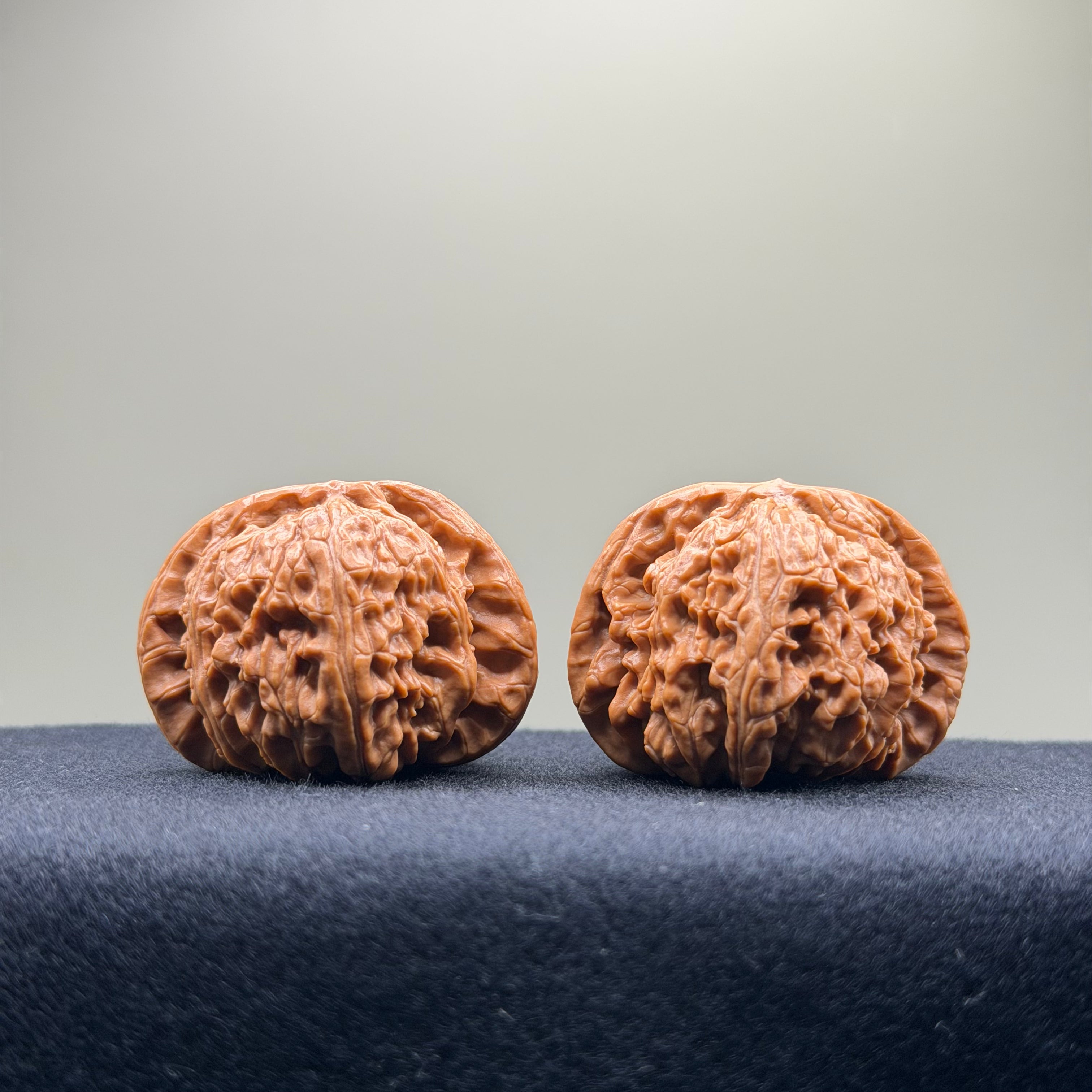 White Lion Wenwan Walnut · 42mm · Select Ritual