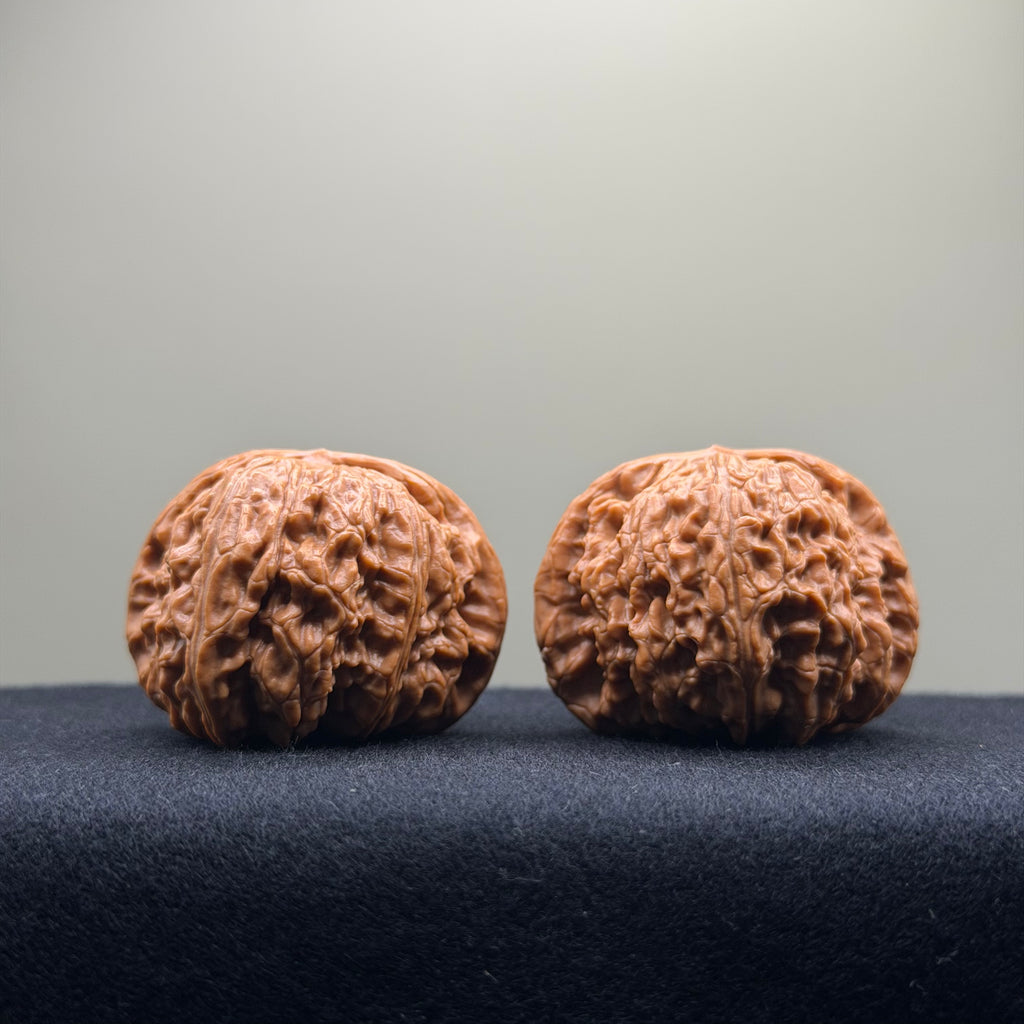White Lion Wenwan Walnut · 42mm · Select Ritual