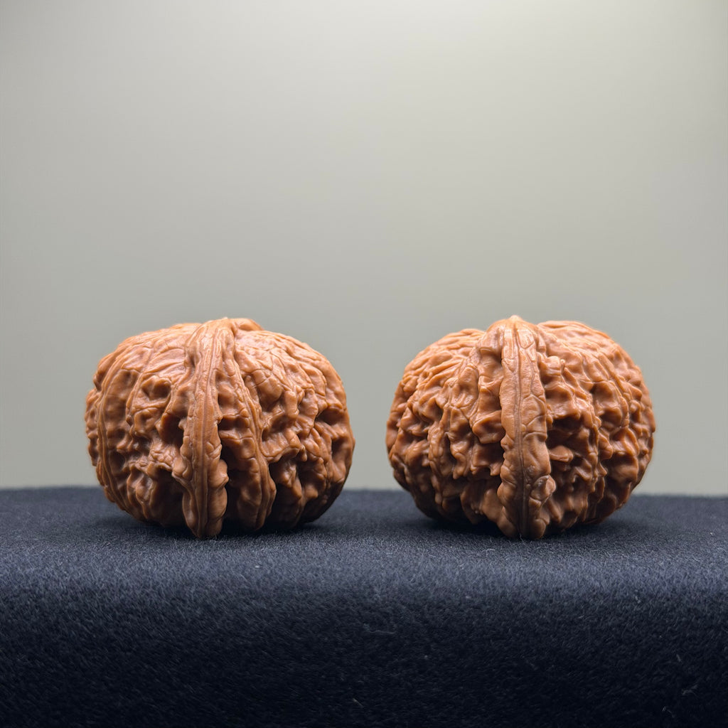 White Lion Wenwan Walnut · 42mm · Select Ritual