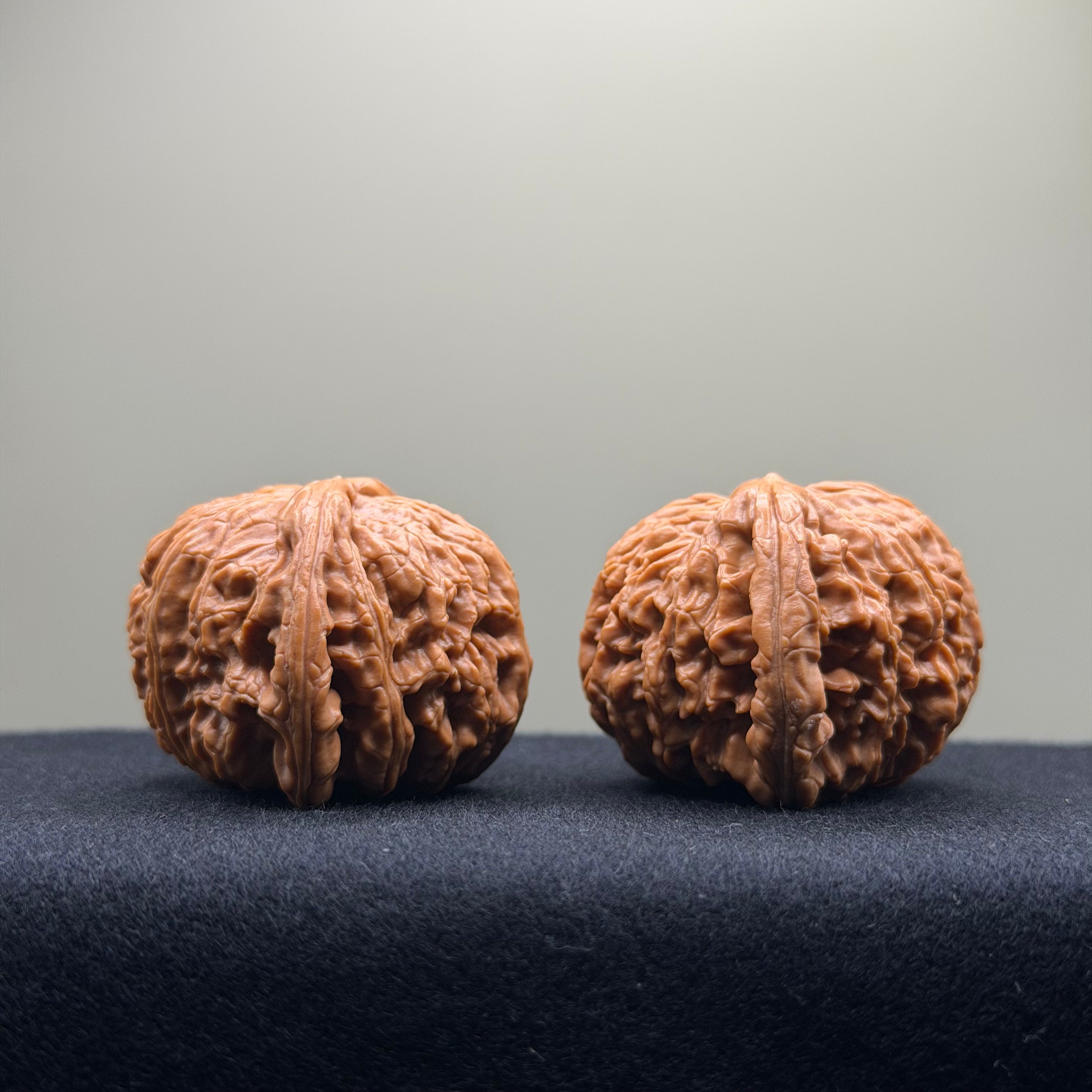 White Lion Wenwan Walnut · 42mm · Select Ritual