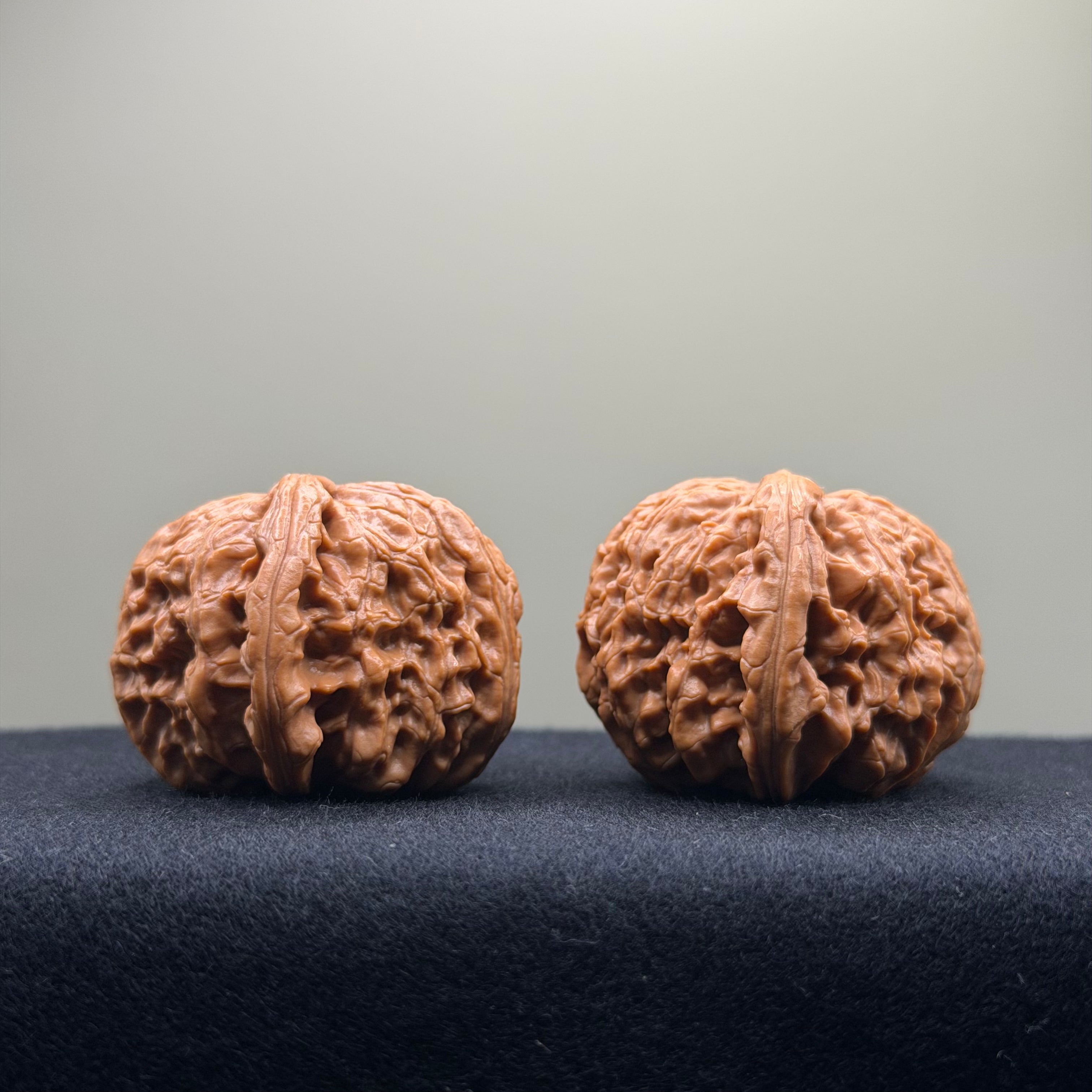 White Lion Wenwan Walnut · 42mm · Select Ritual