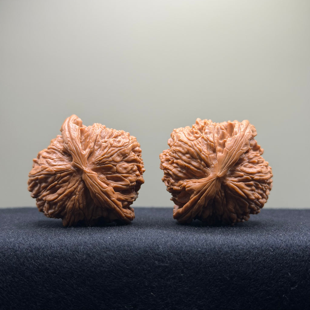 White Lion Wenwan Walnut · 42mm · Select Ritual