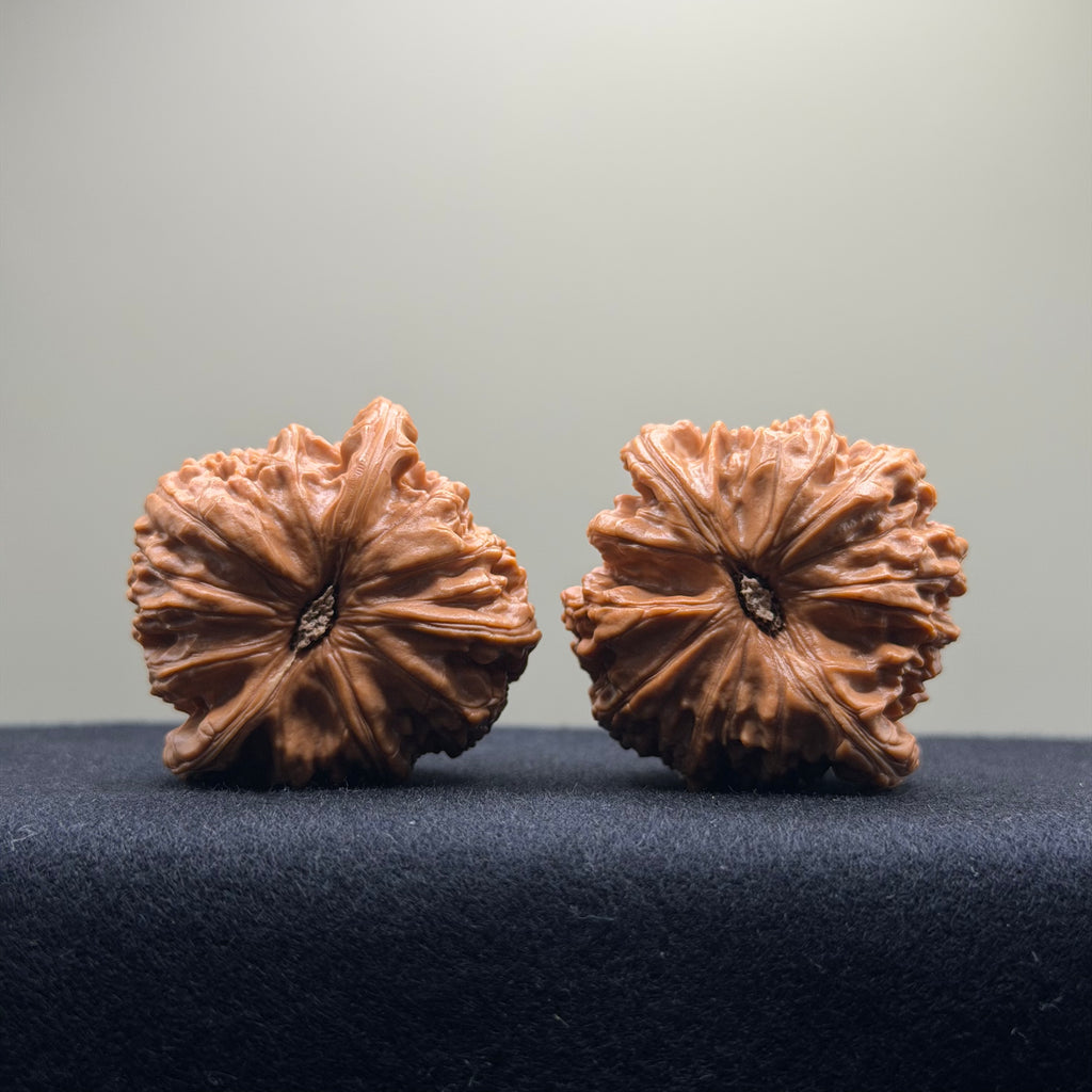 White Lion Wenwan Walnut · 42mm · Select Ritual