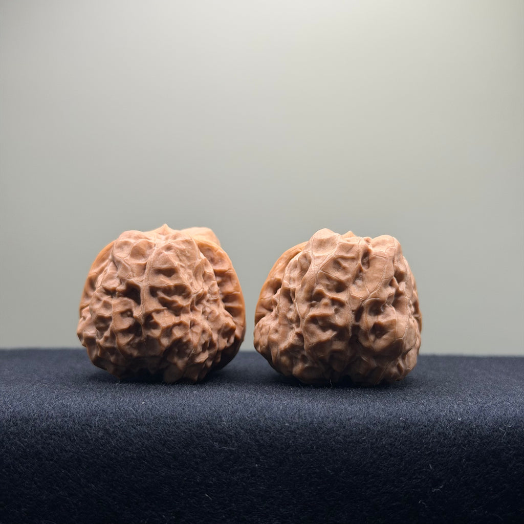 Toad Head Wenwan Walnut · 35mm · Entry Ritual