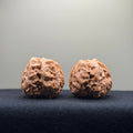 Toad Head Wenwan Walnut · 35mm · Entry Ritual