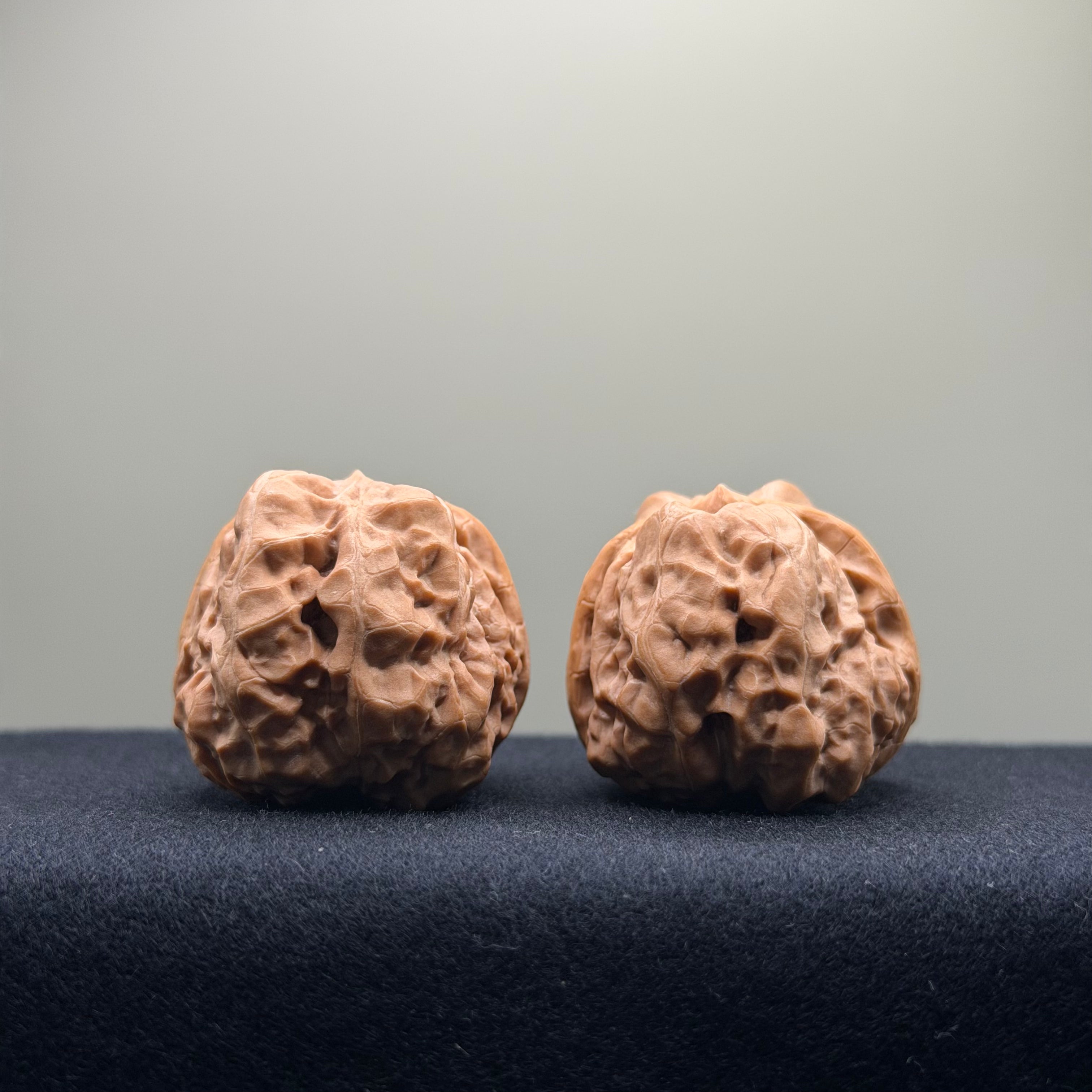 Toad Head Wenwan Walnut · 35mm · Entry Ritual